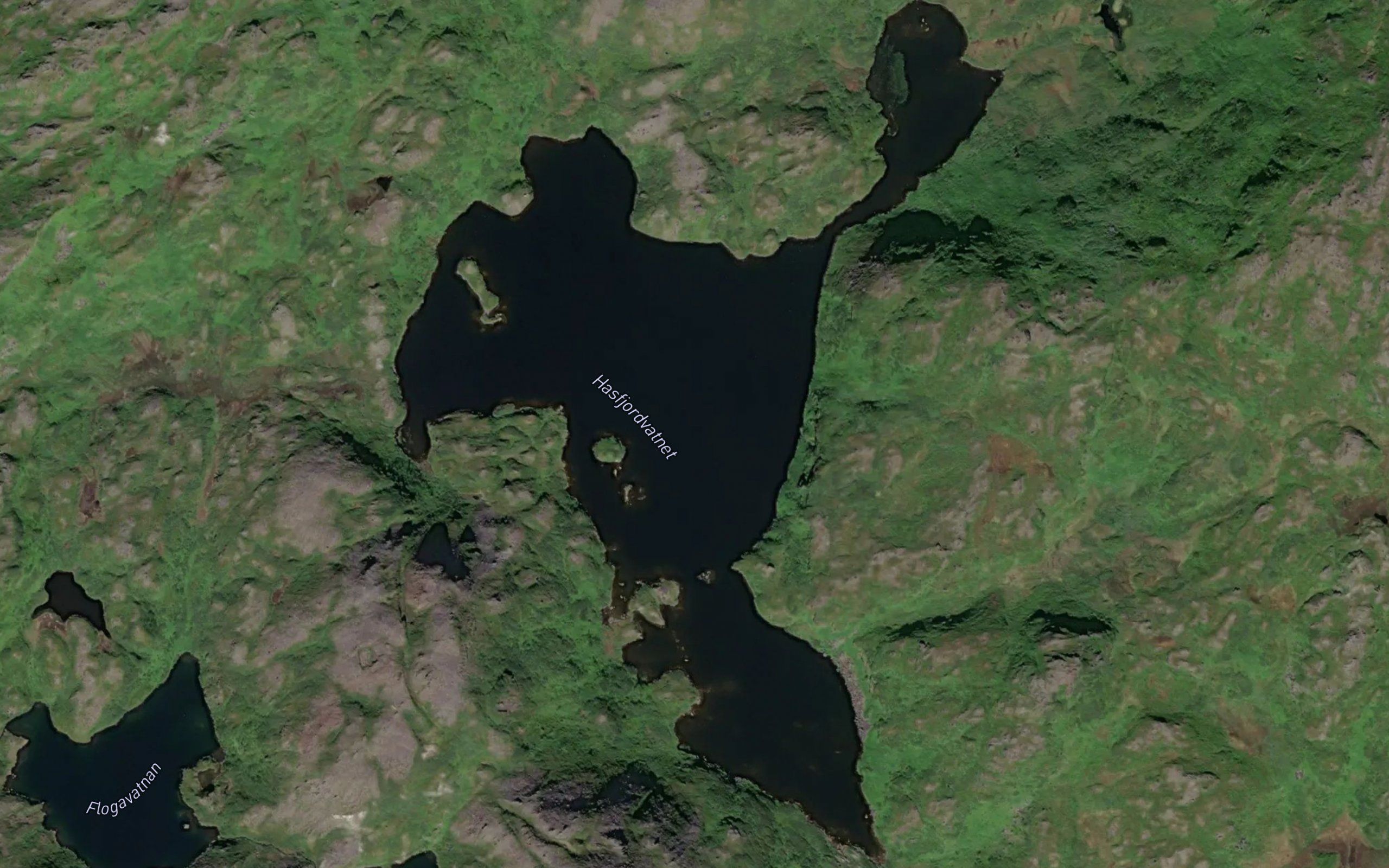 Hasfjordvatnet
