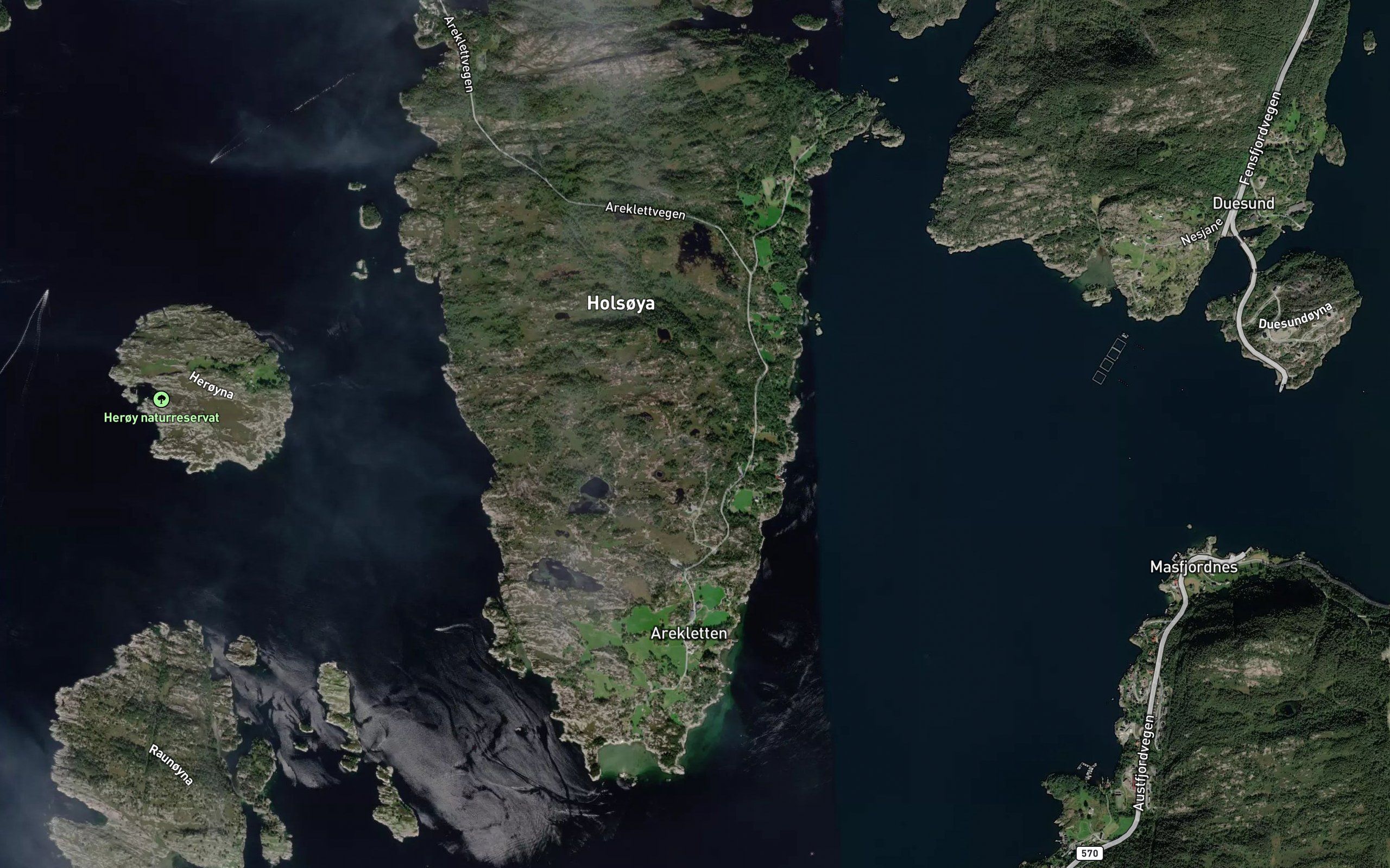 Geitetjorna