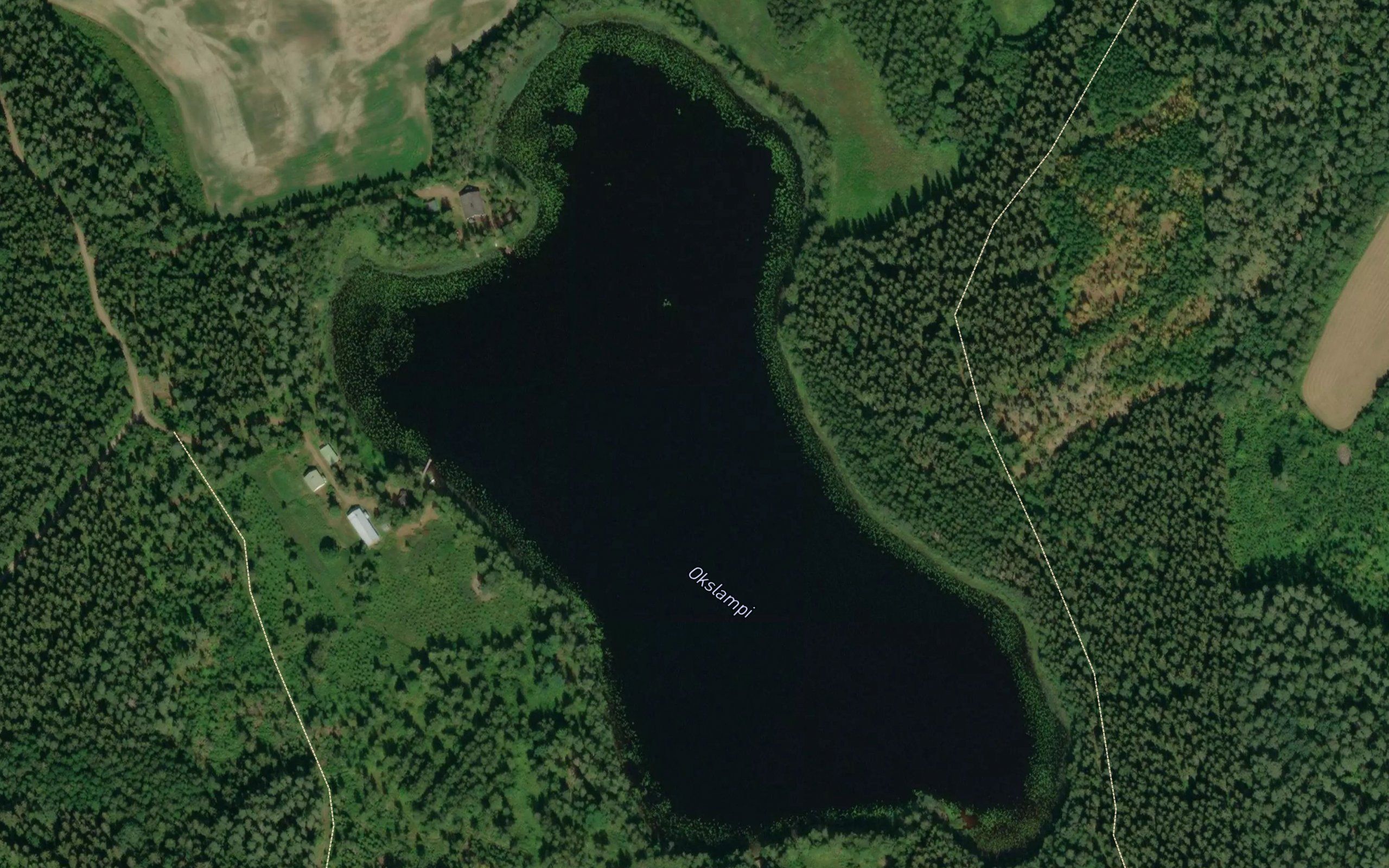 Okslampi