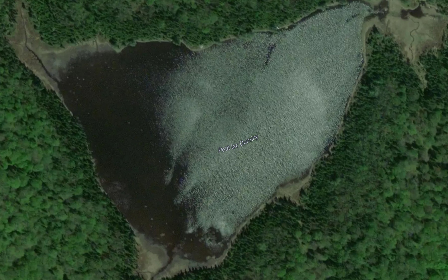 Satellite map of the Petit lac Duminy