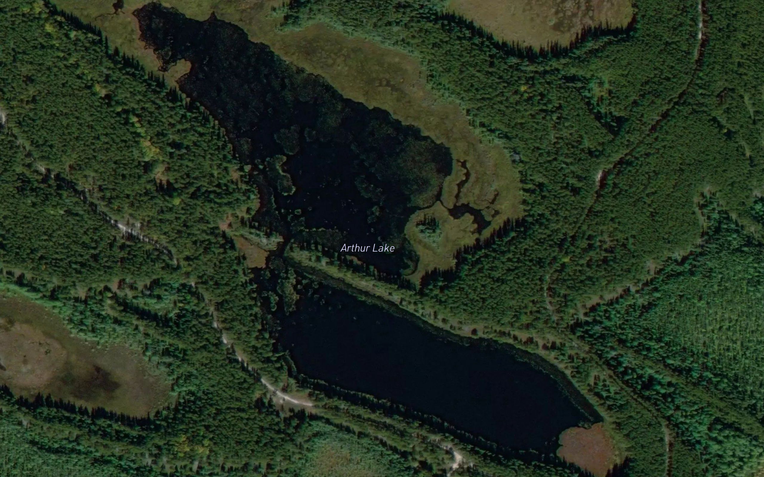 Arthur Lake