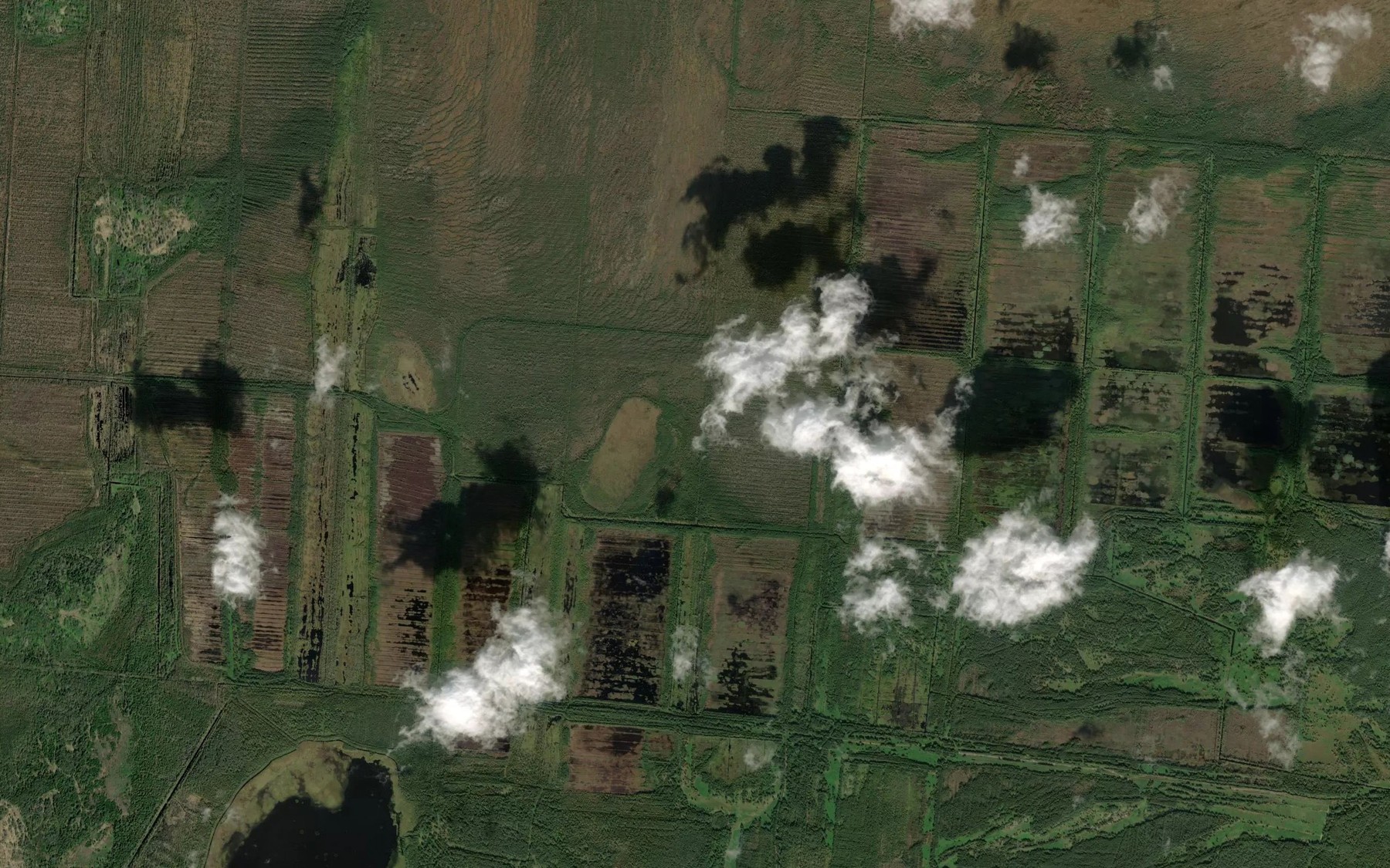 Satellite map of the Ozero Kolpinets