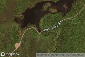 Deer Lake 10
