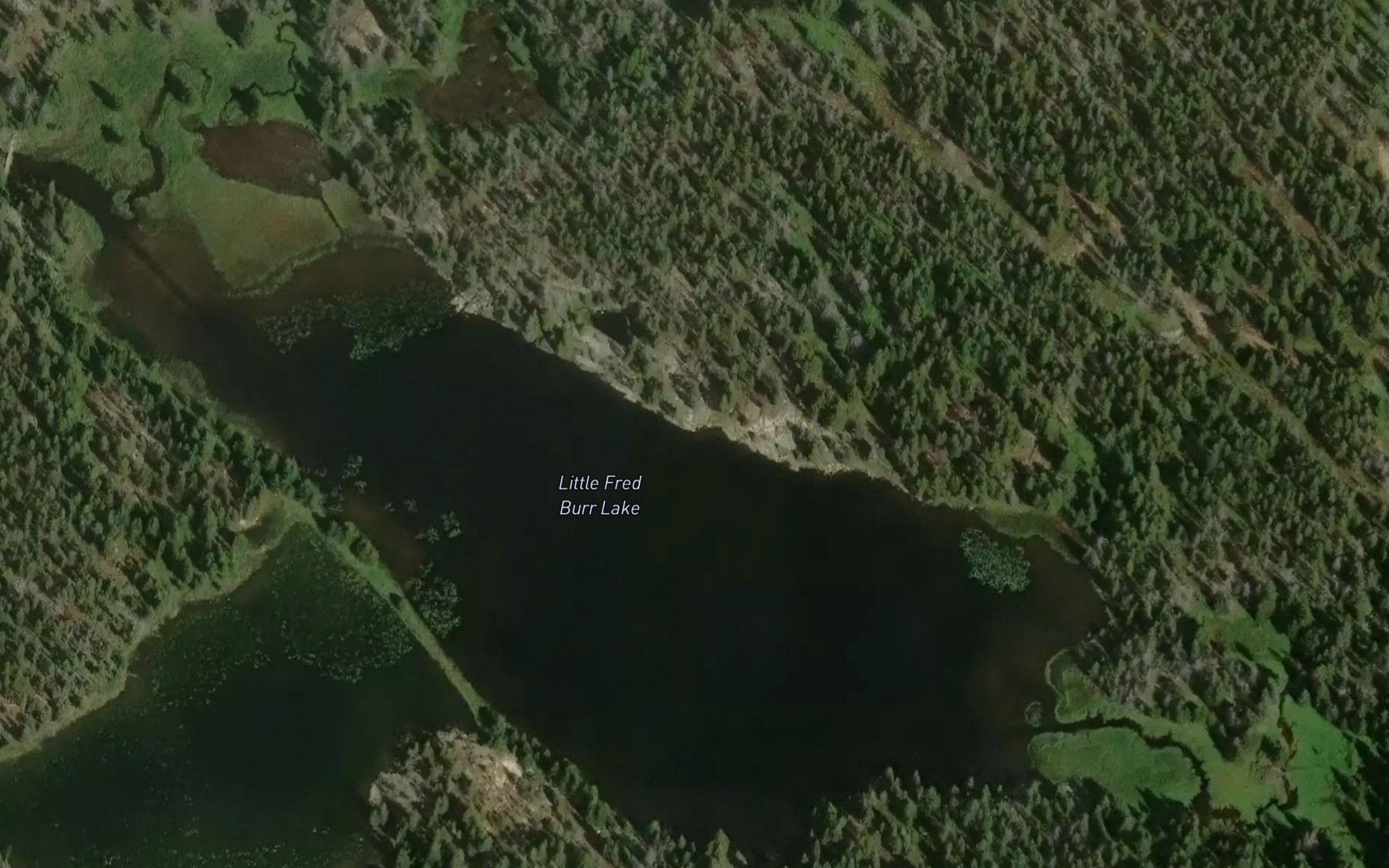 Satellite map of the Little Fred Burr Lake