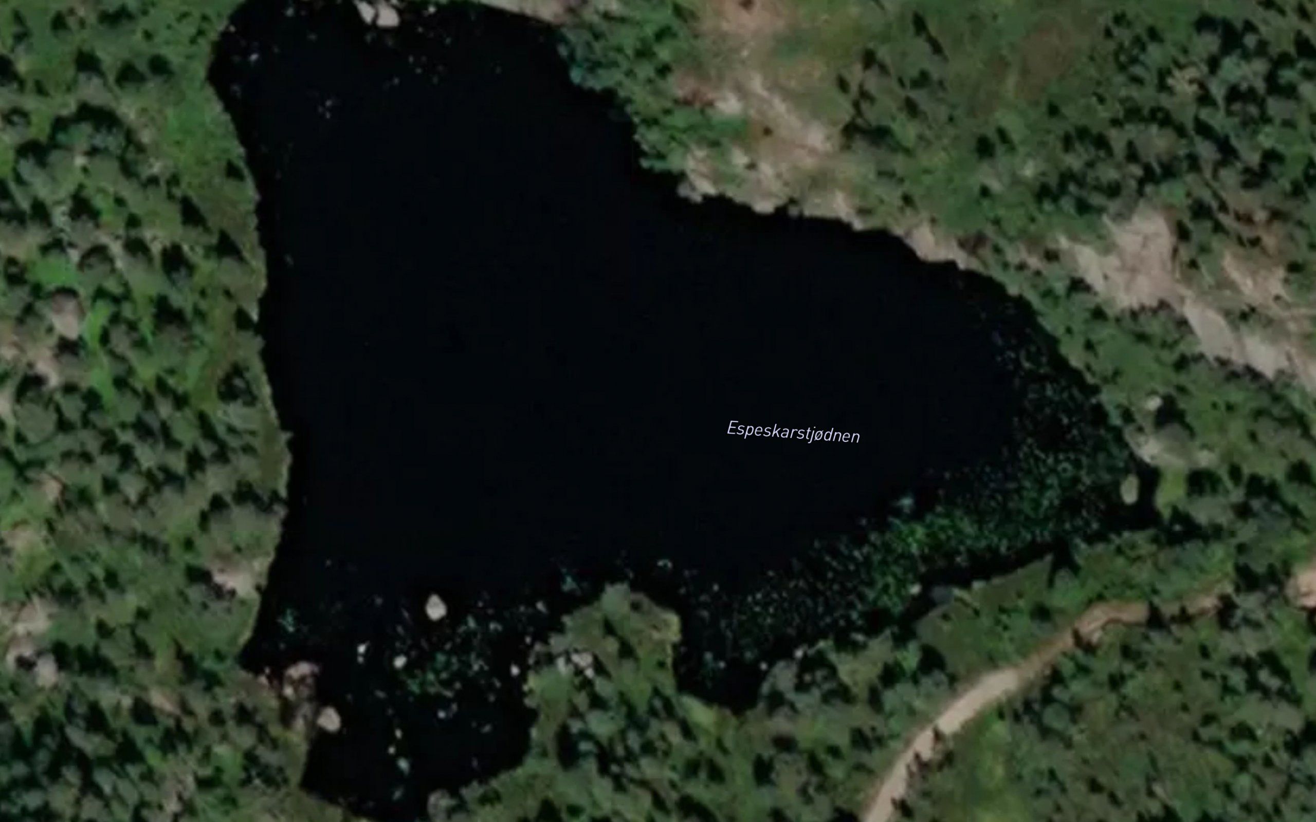 Espeskardtjorni