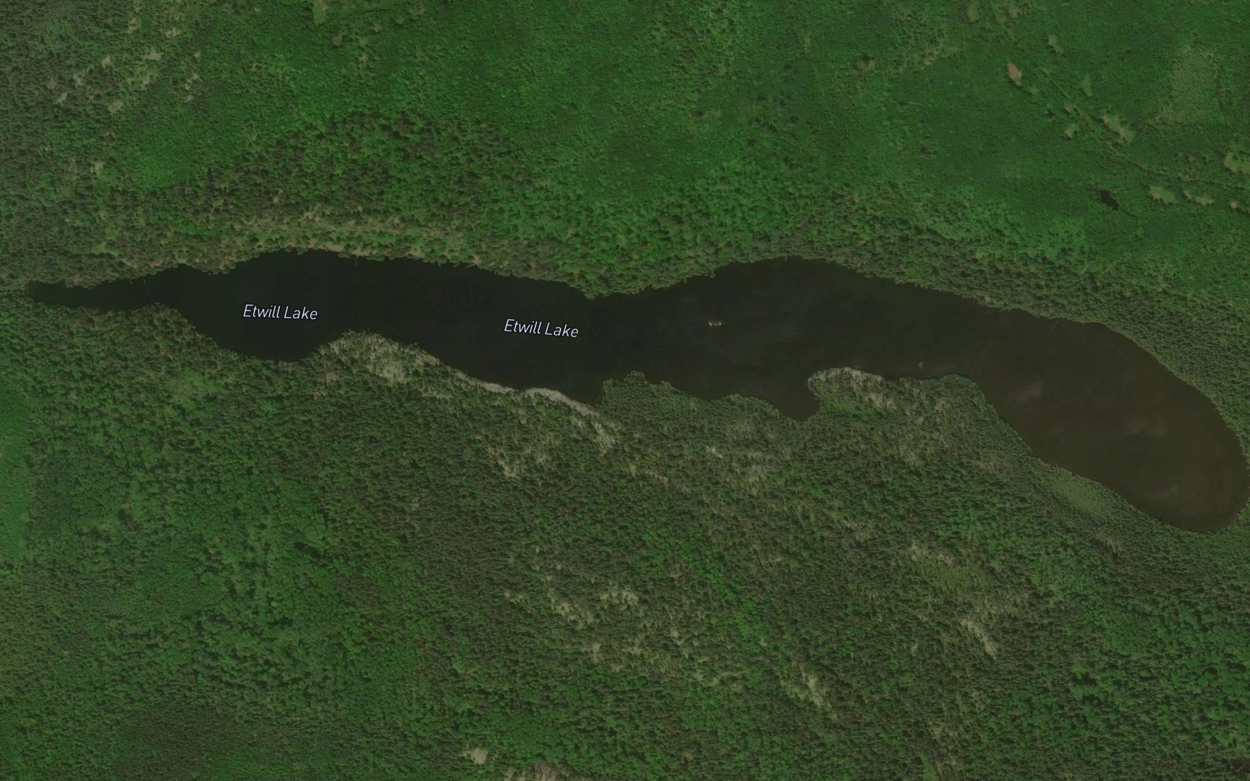 Satellite map of the Etwill Lake