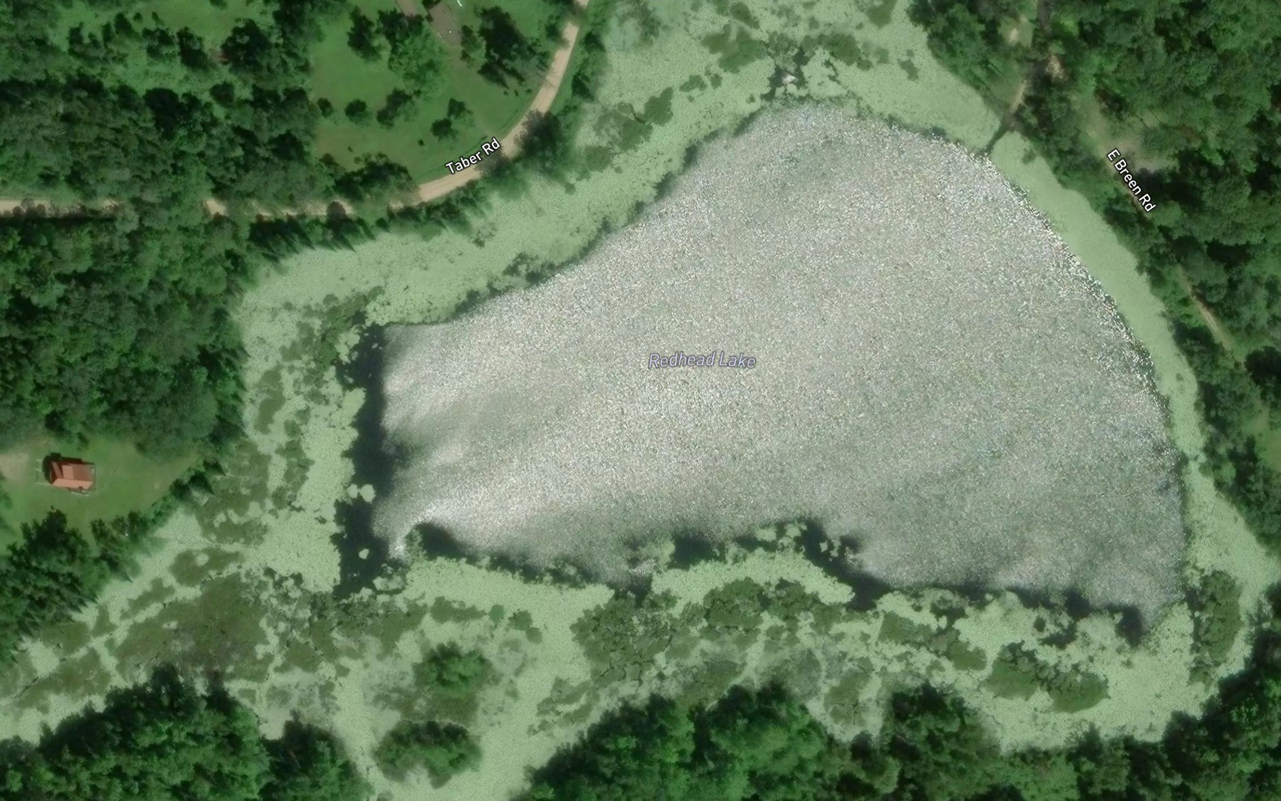 Satellite map of the Redhead Lake