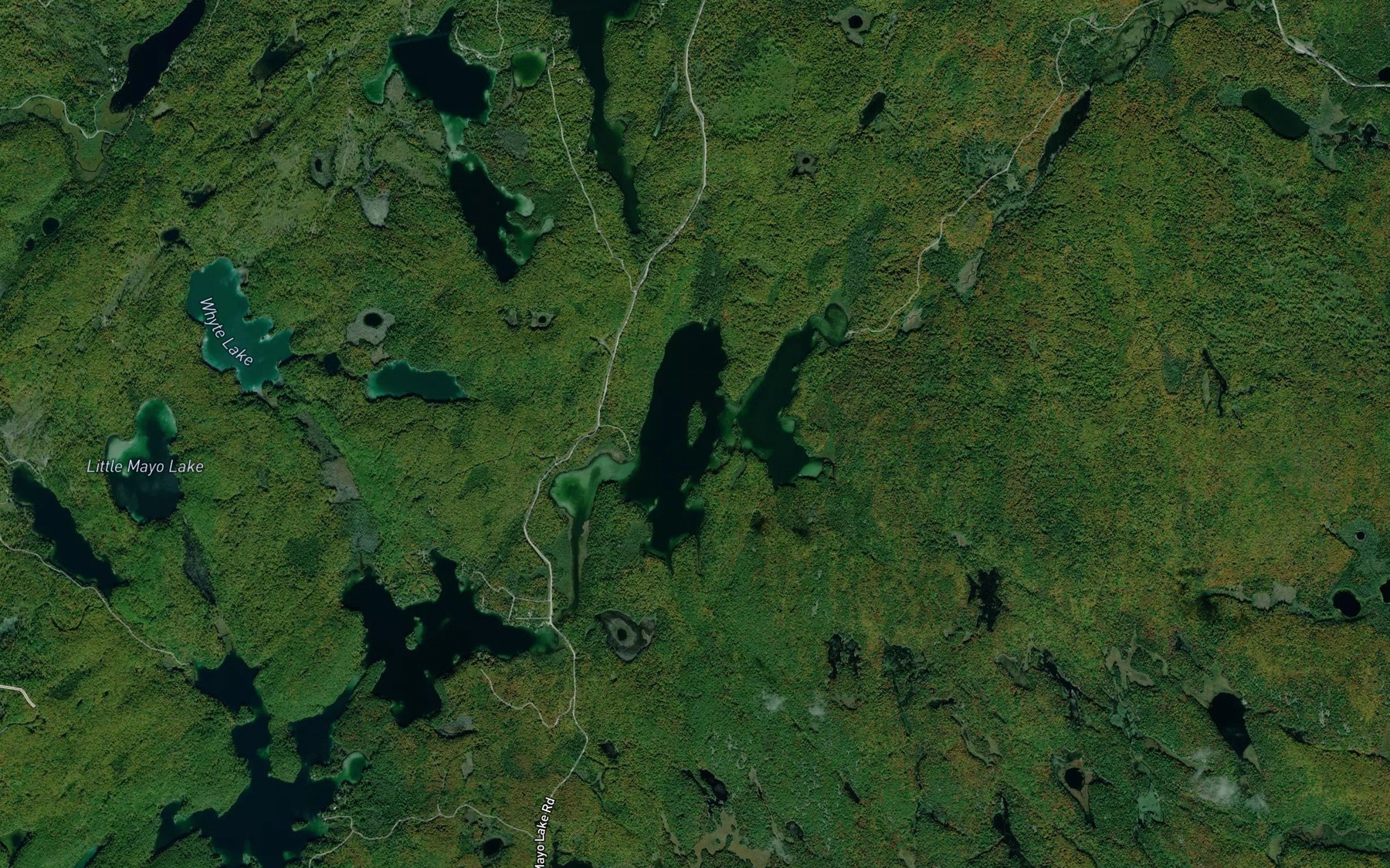 Satellite map of the Gin Lake