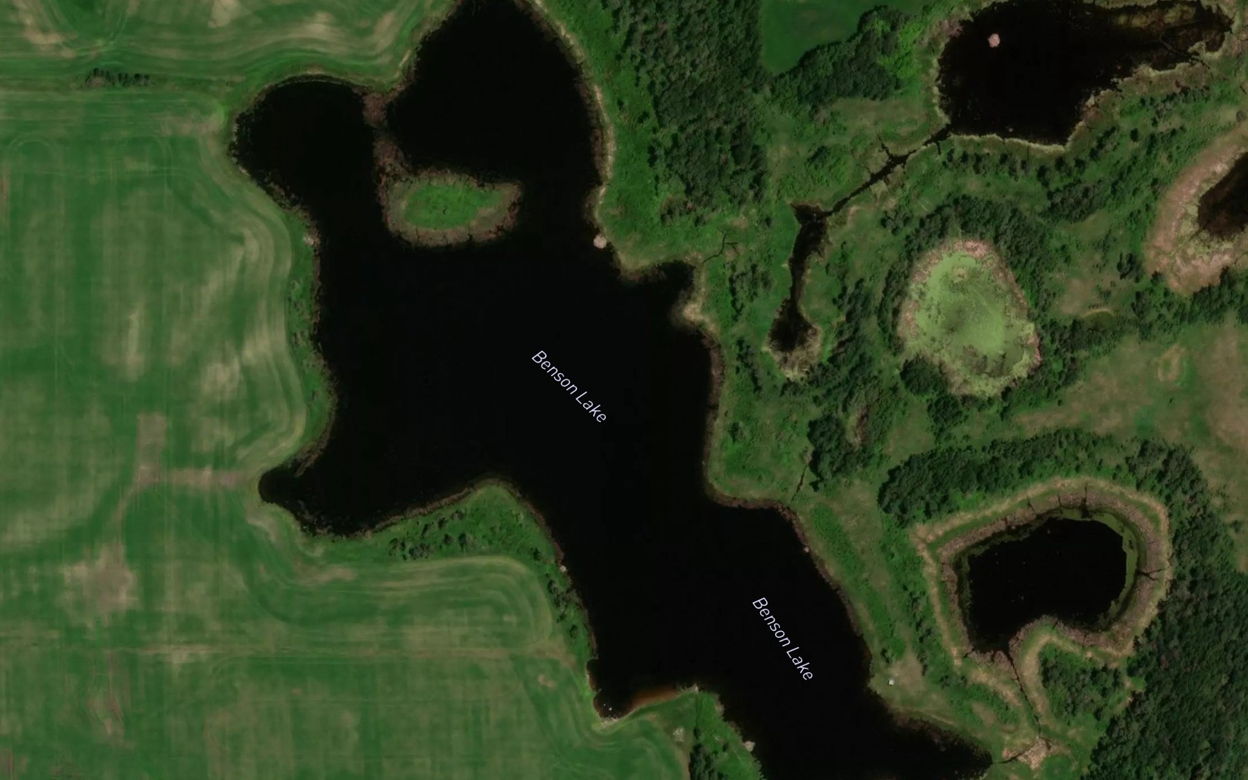Satellite map of the Benson Lake