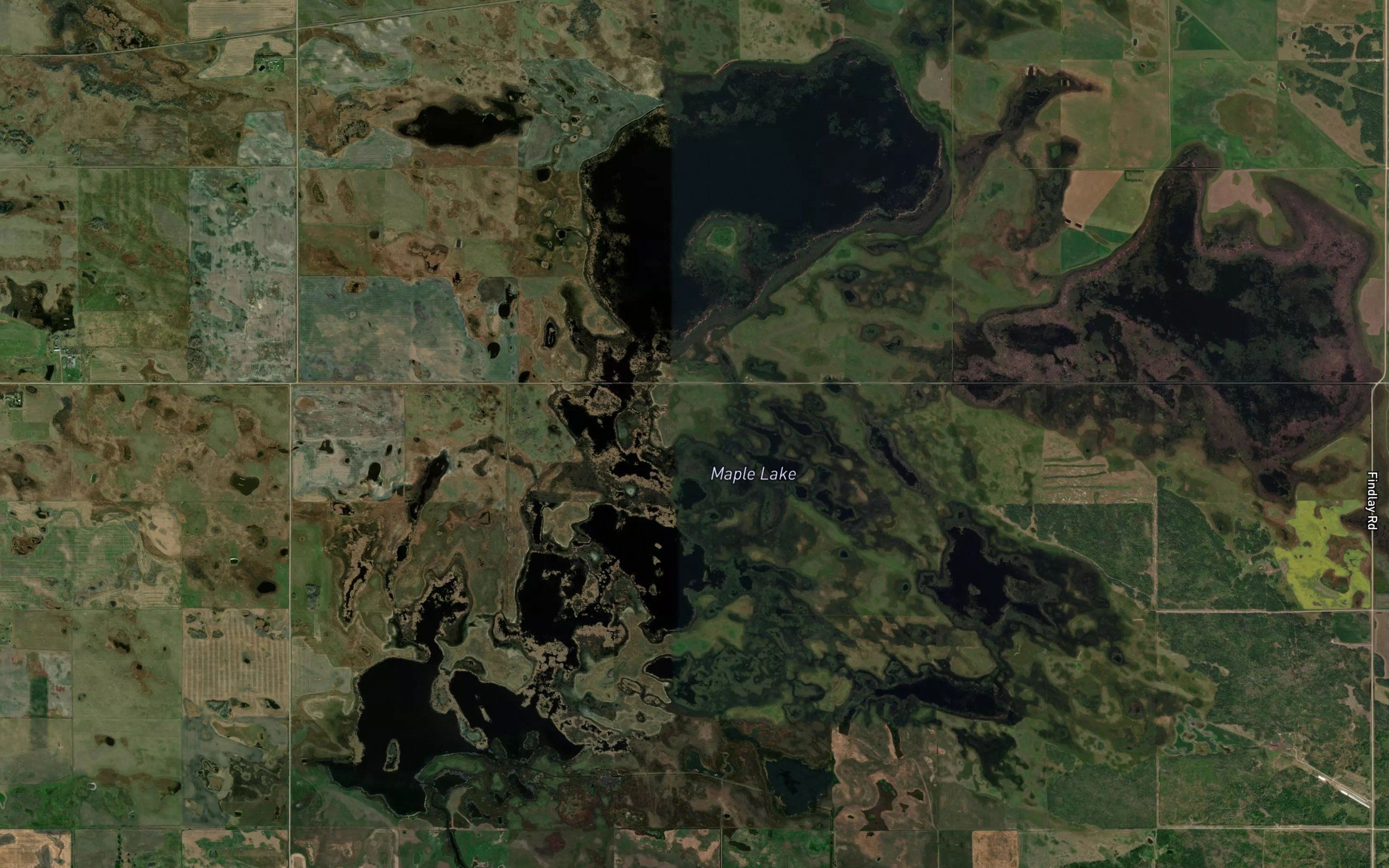 Maple Lake