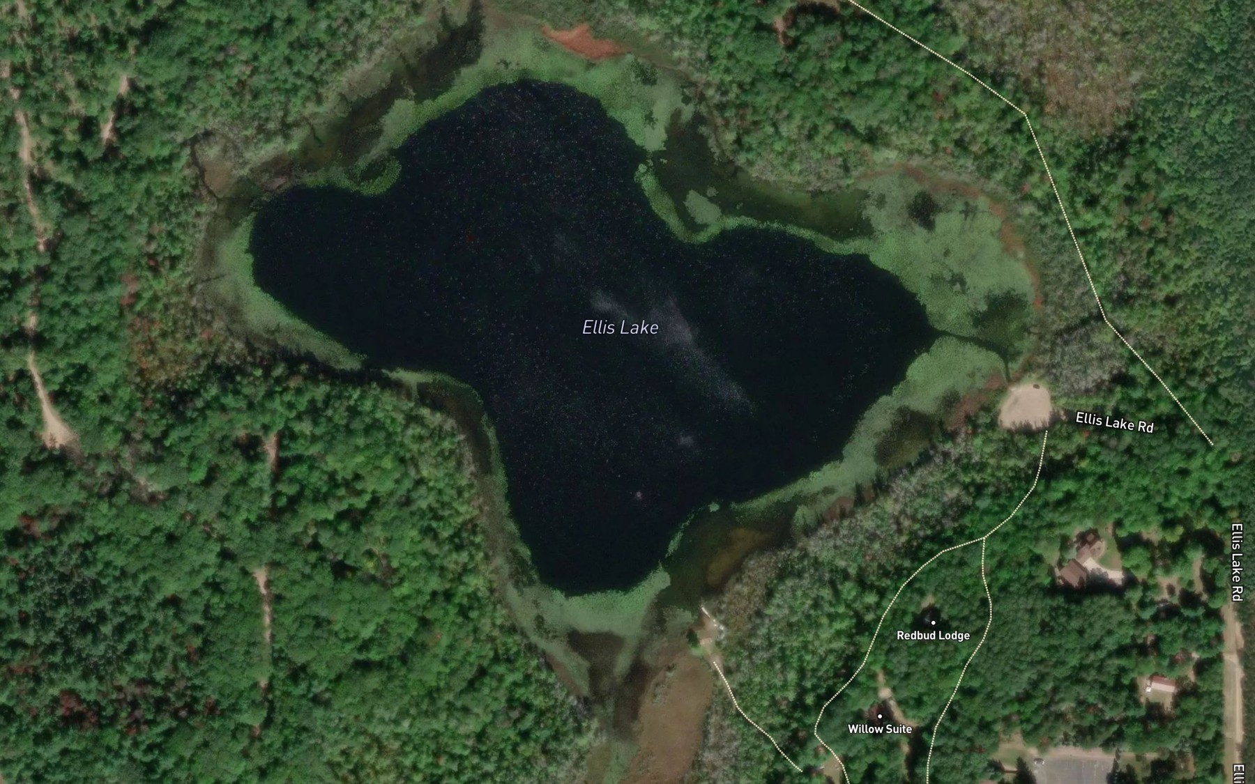 Satellite map of the Ellis Lake