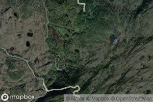 Setratjorn