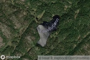 Lauvbutjonn