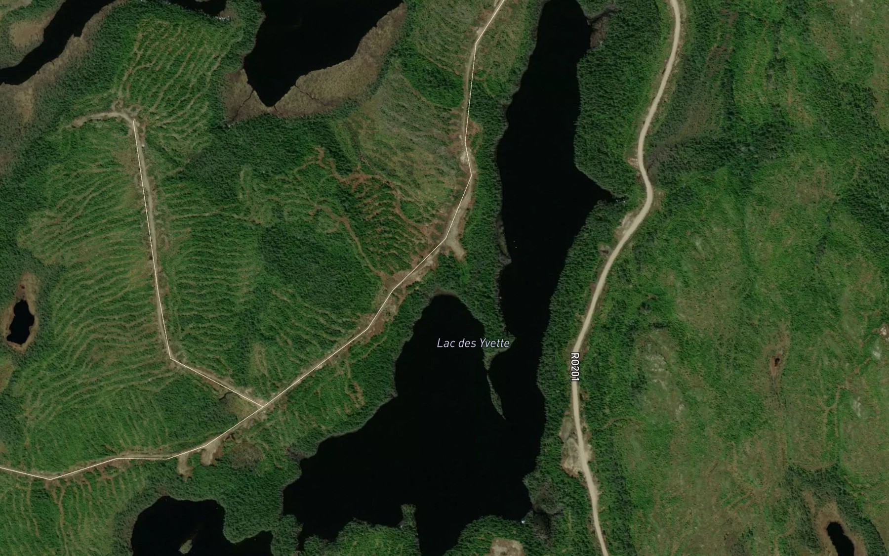 Satellite map of the Lac des Yvette