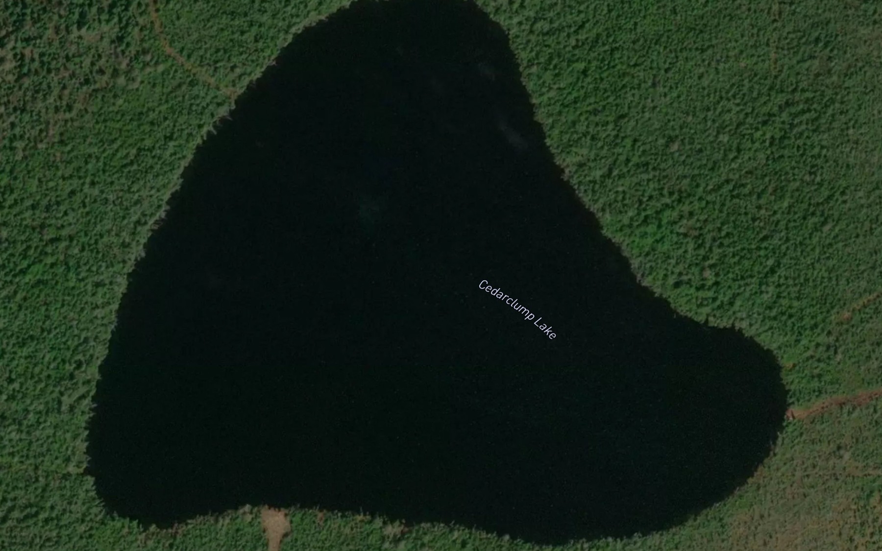 Satellite map of the Cedarclump Lake