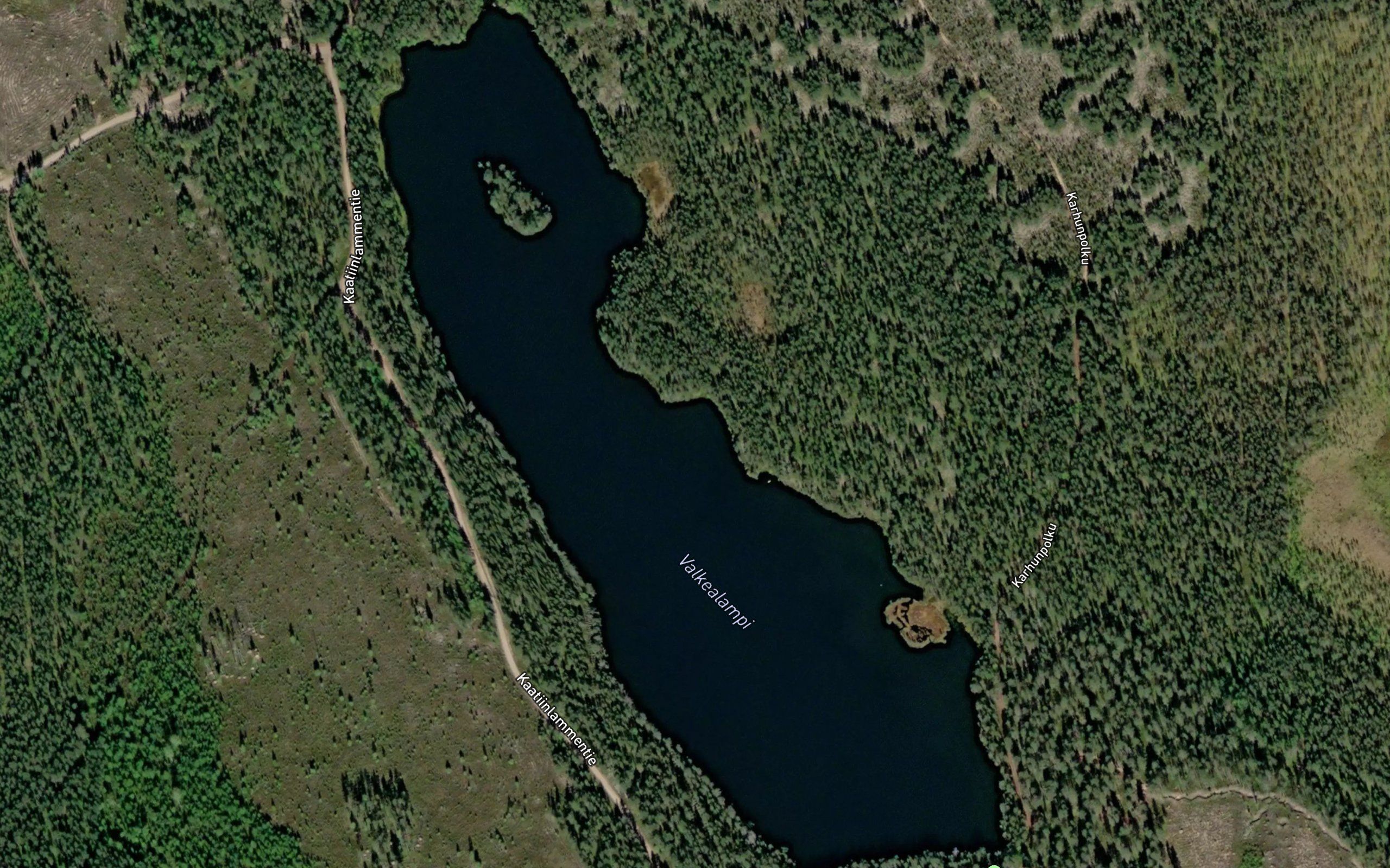 Valkealampi