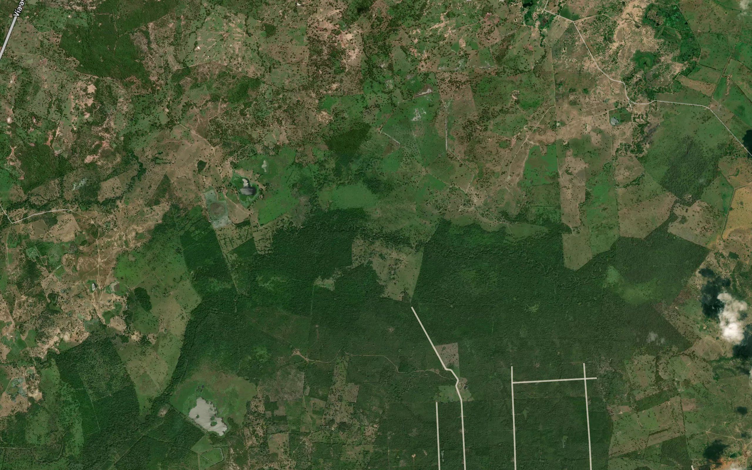 Arroyo Corozal