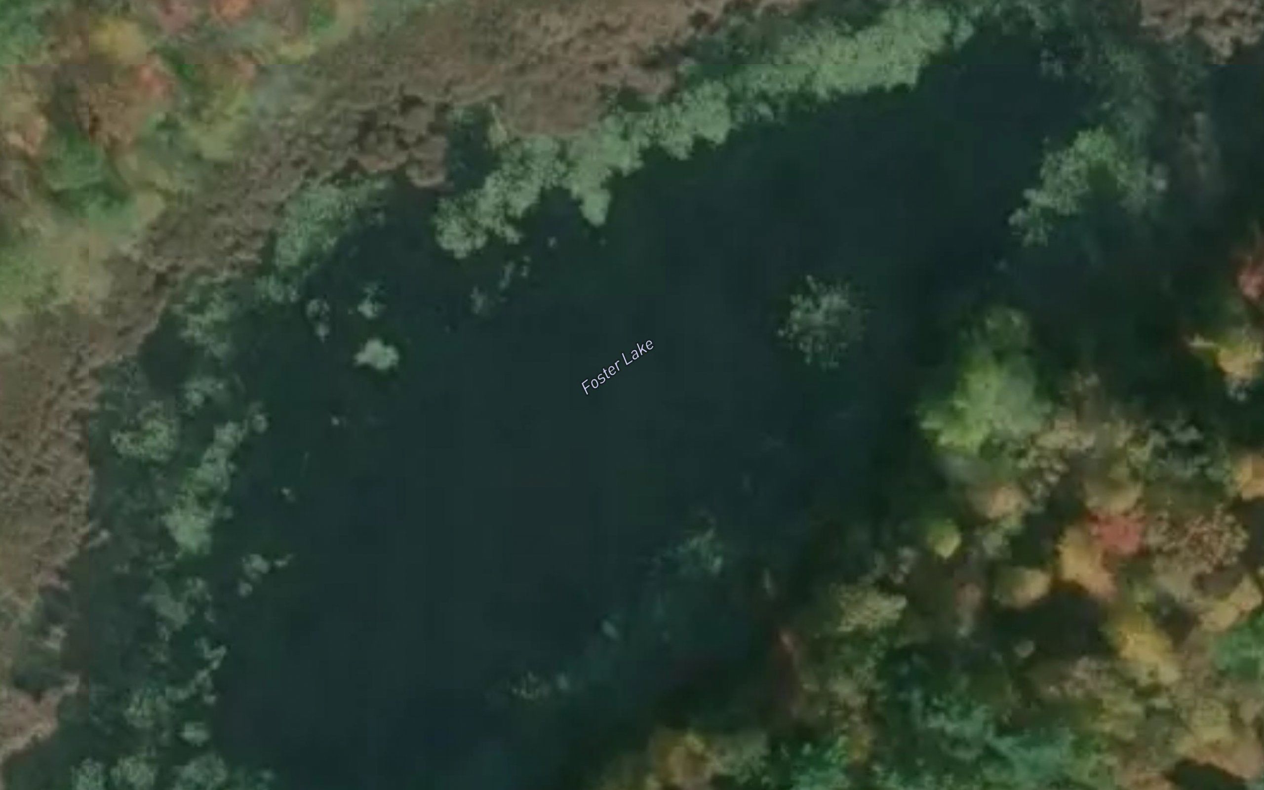 Foster Lake