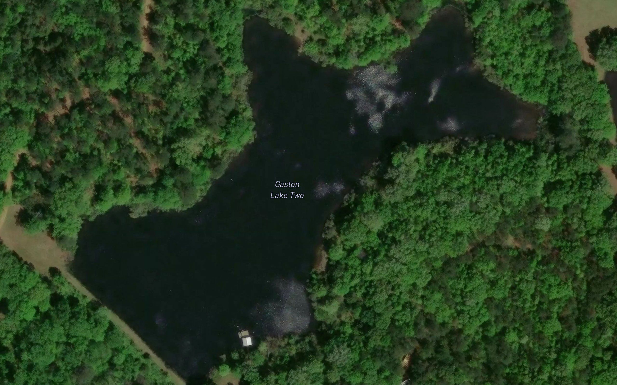 Gaston Lake Two
