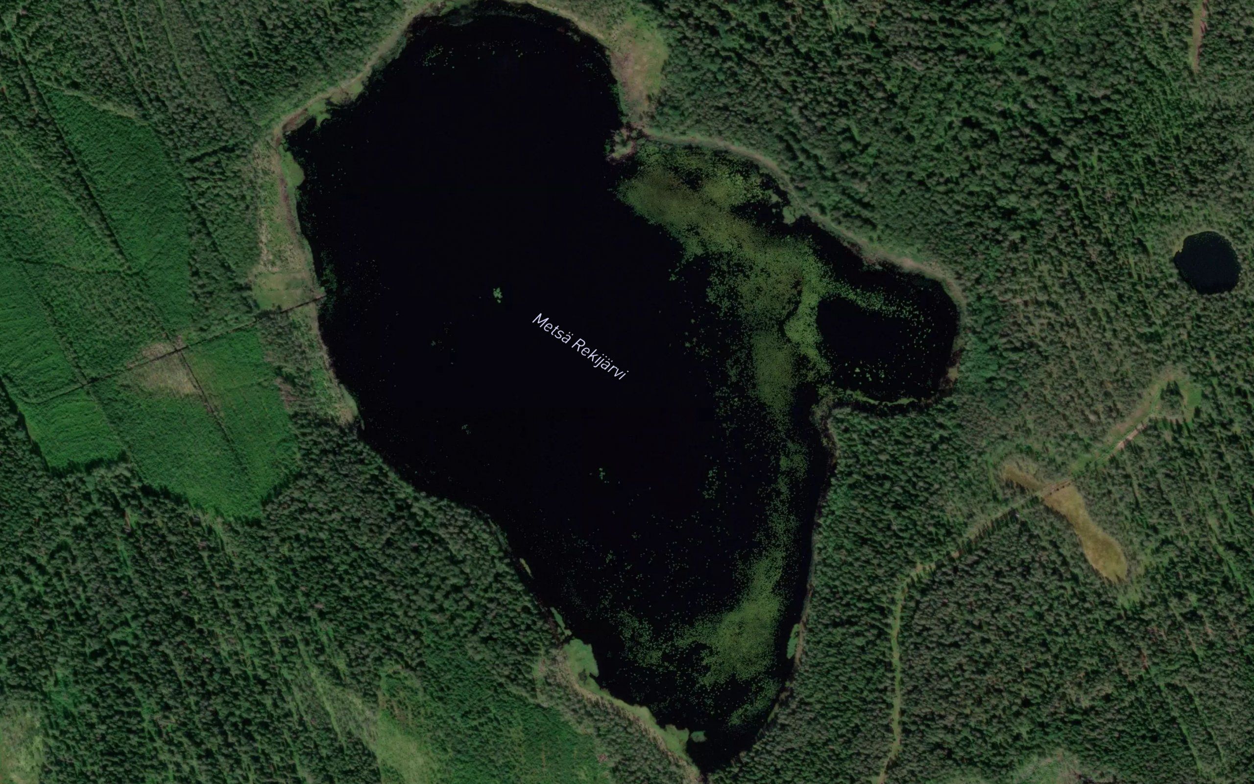 Ozero Metsya-Rekiyarvi