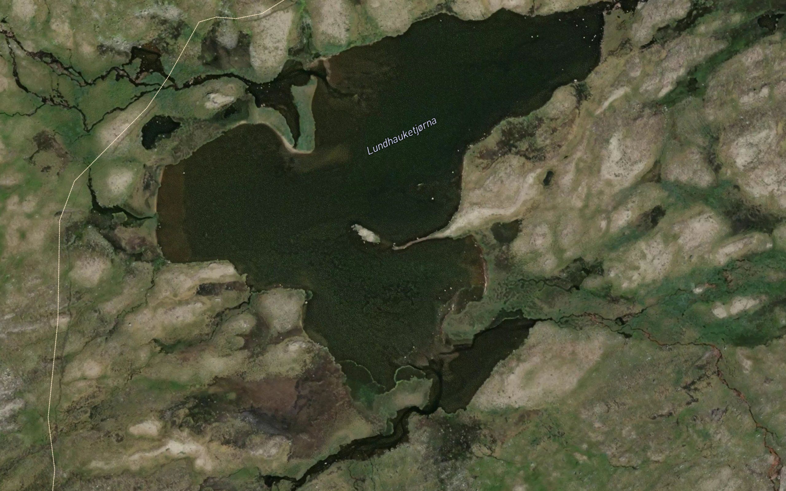 Lundhauketjorni
