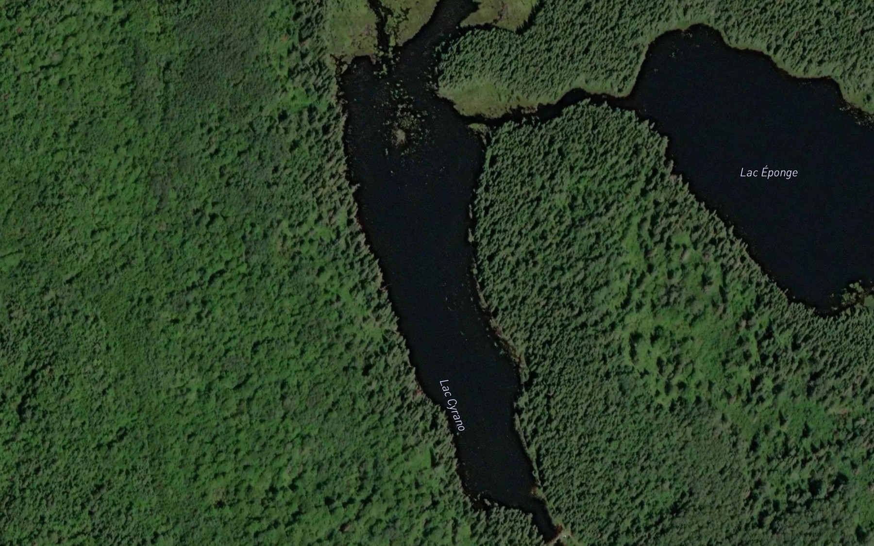 Satellite map of the Lac Cyrano