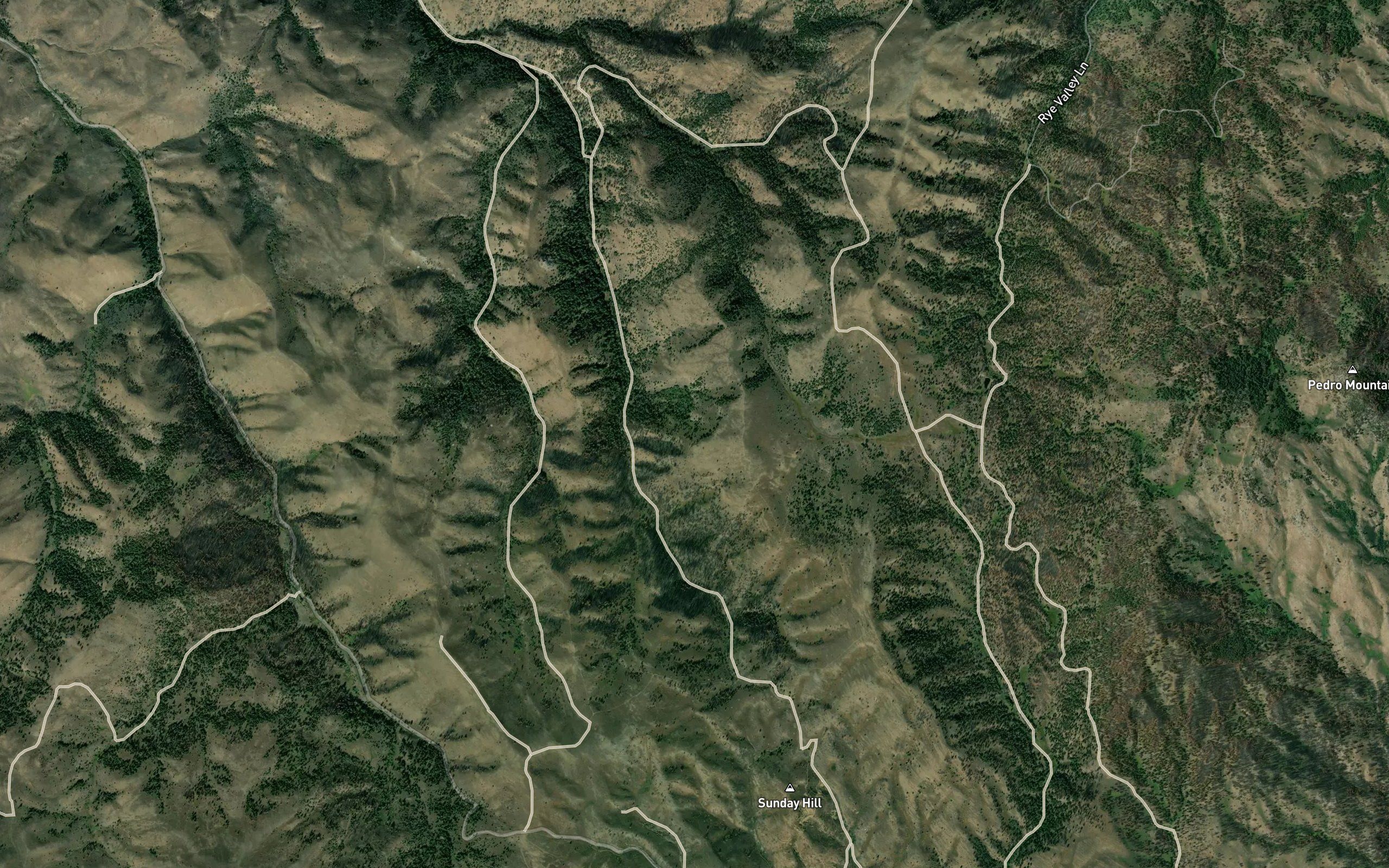 Cottonwood Spring
