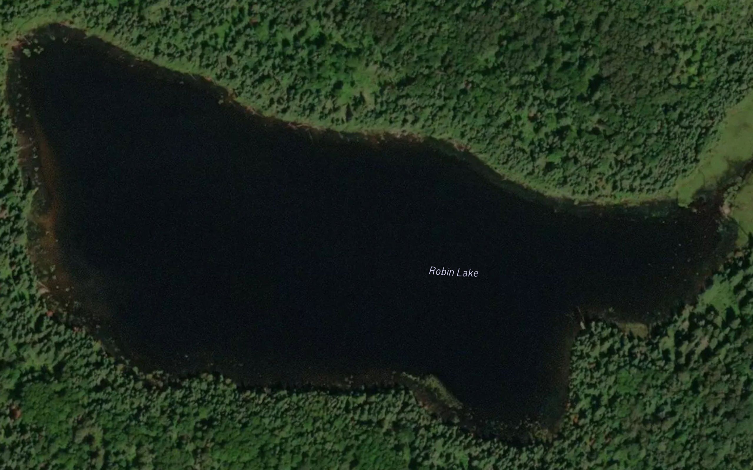 Robin Lake