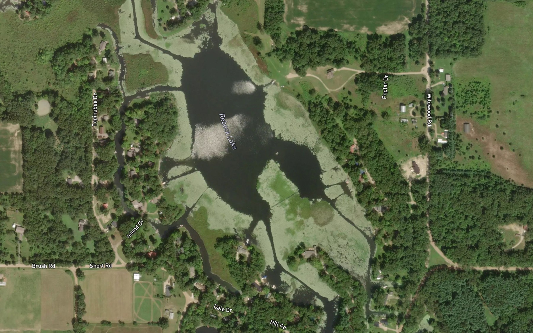 Satellite map of the Rebeck Lake