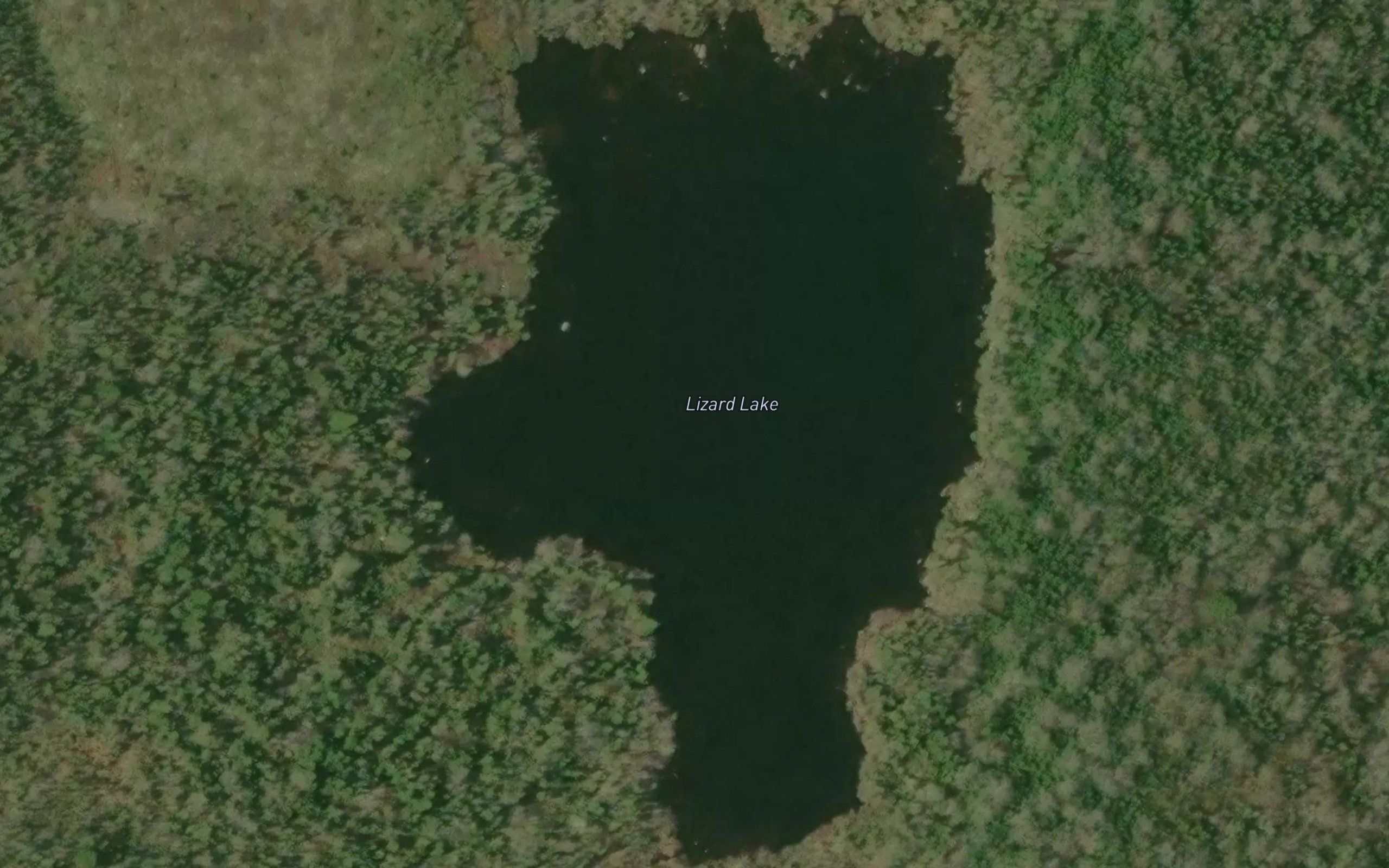 Lizard Lake