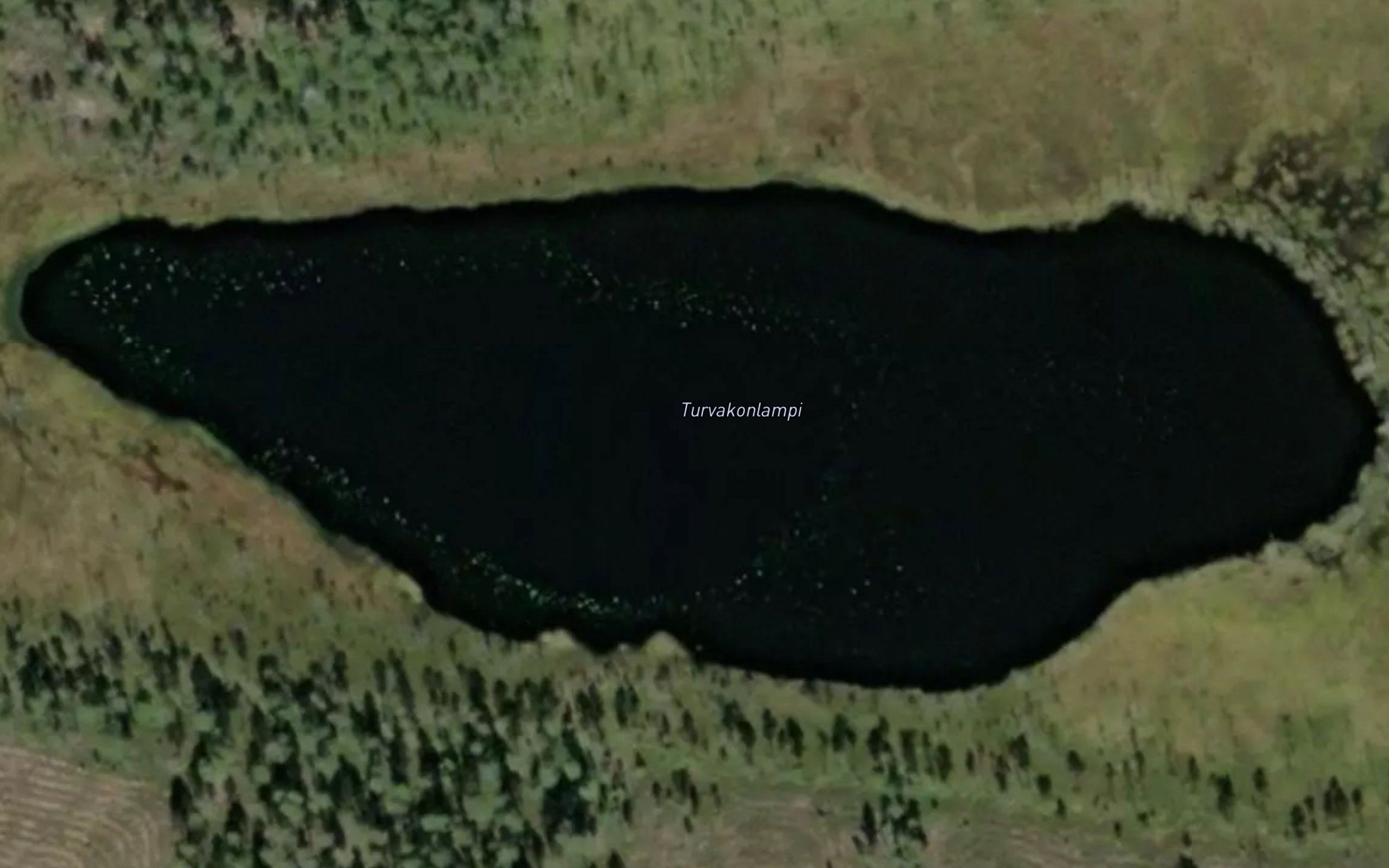 Turvakonlampi