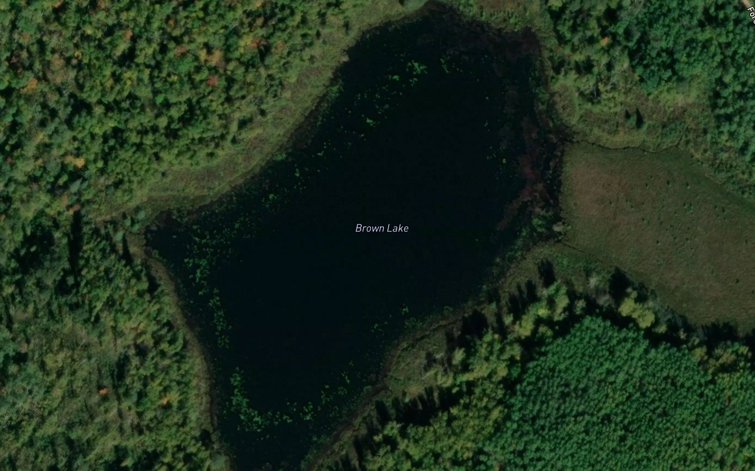 Brown Lake
