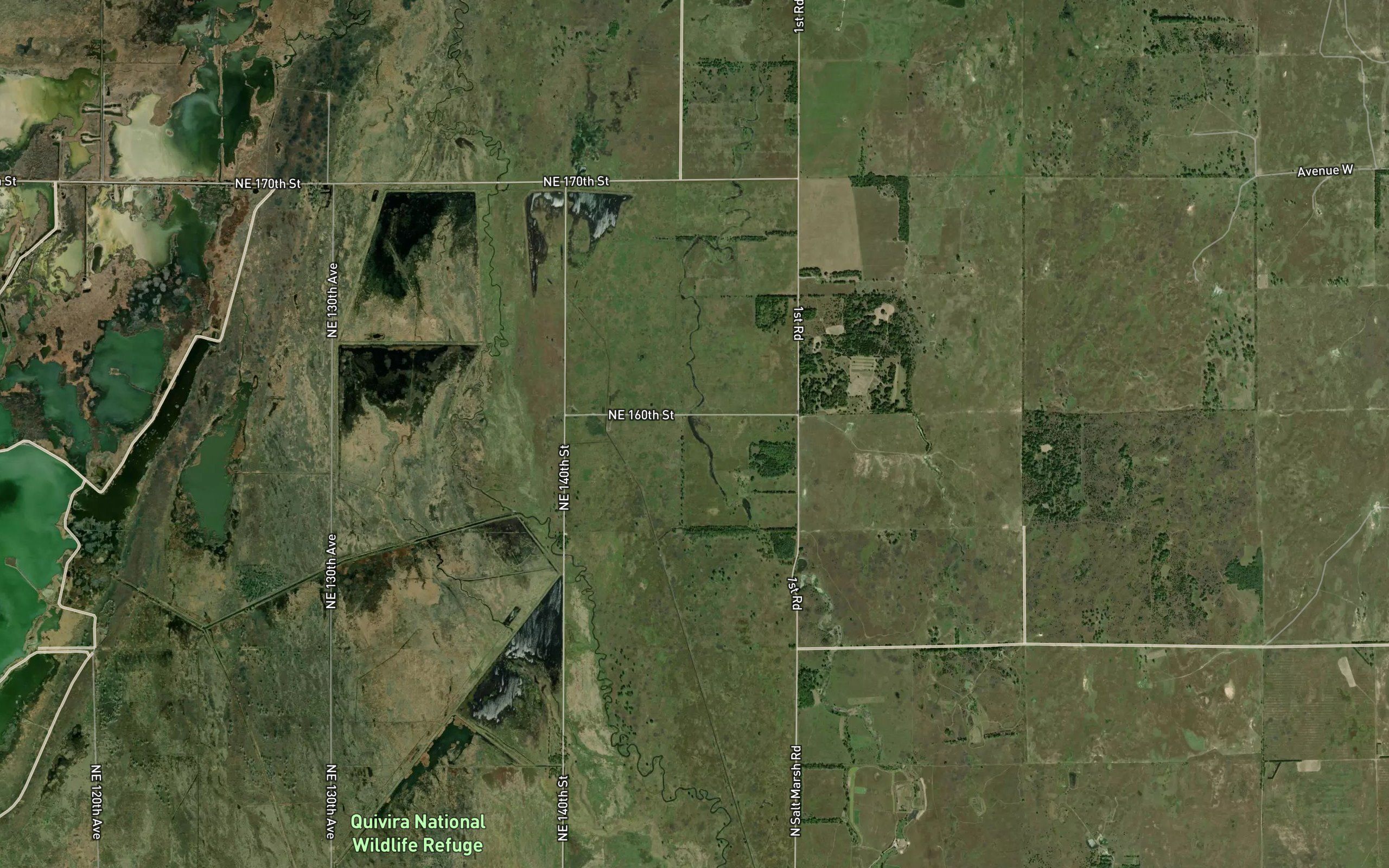 Dead Horse Slough