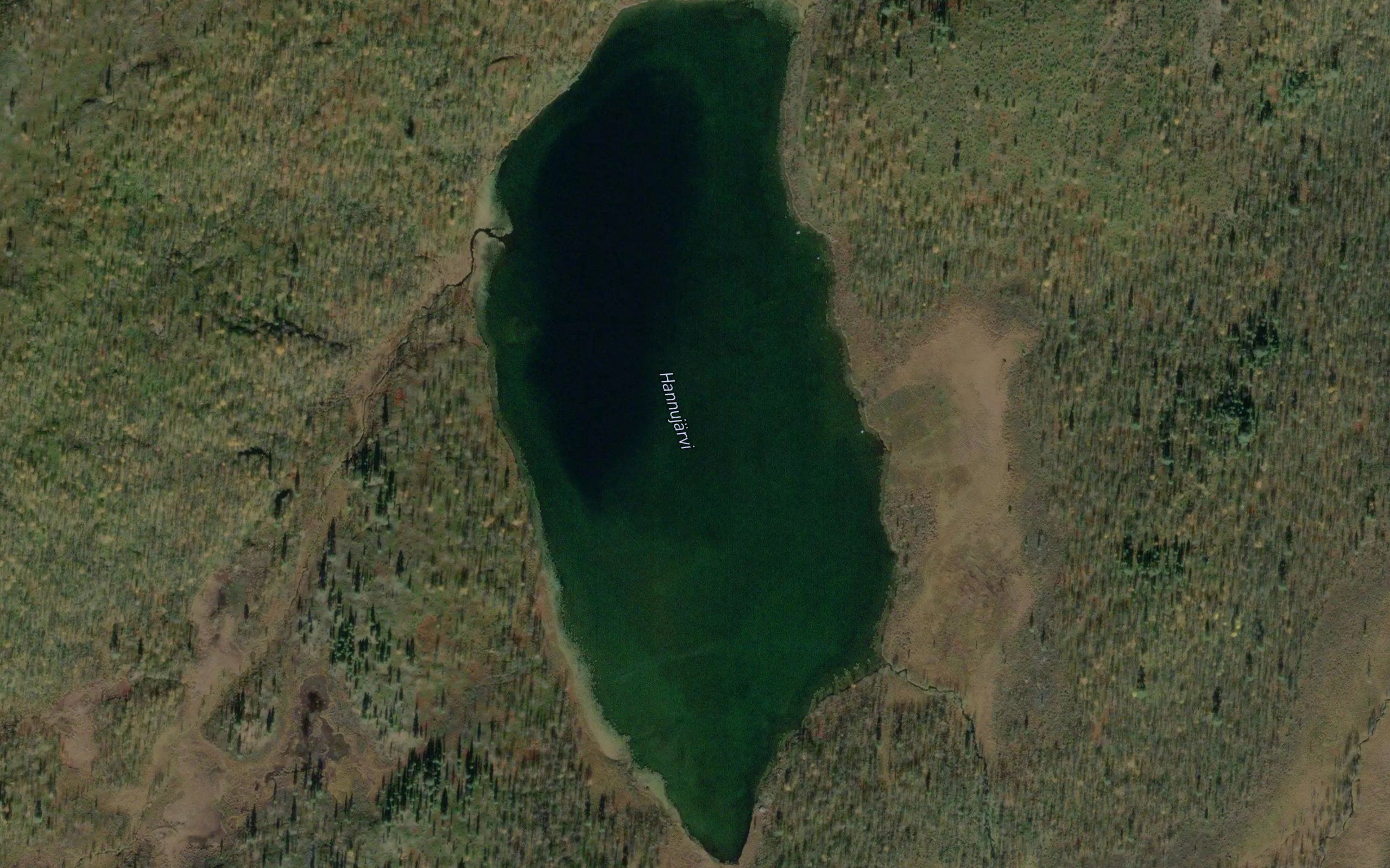 Hannujavri