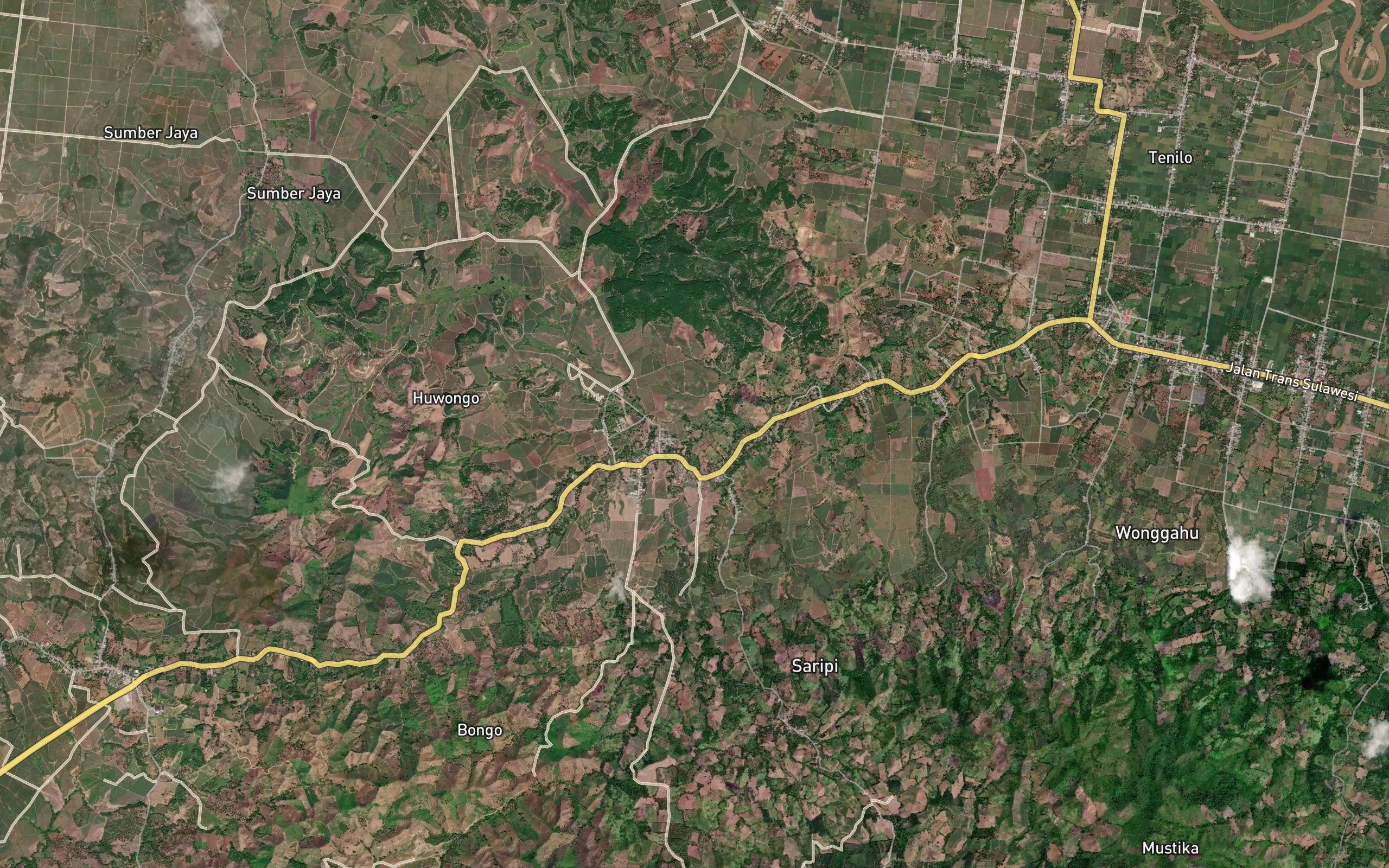 Dutula Padinggi