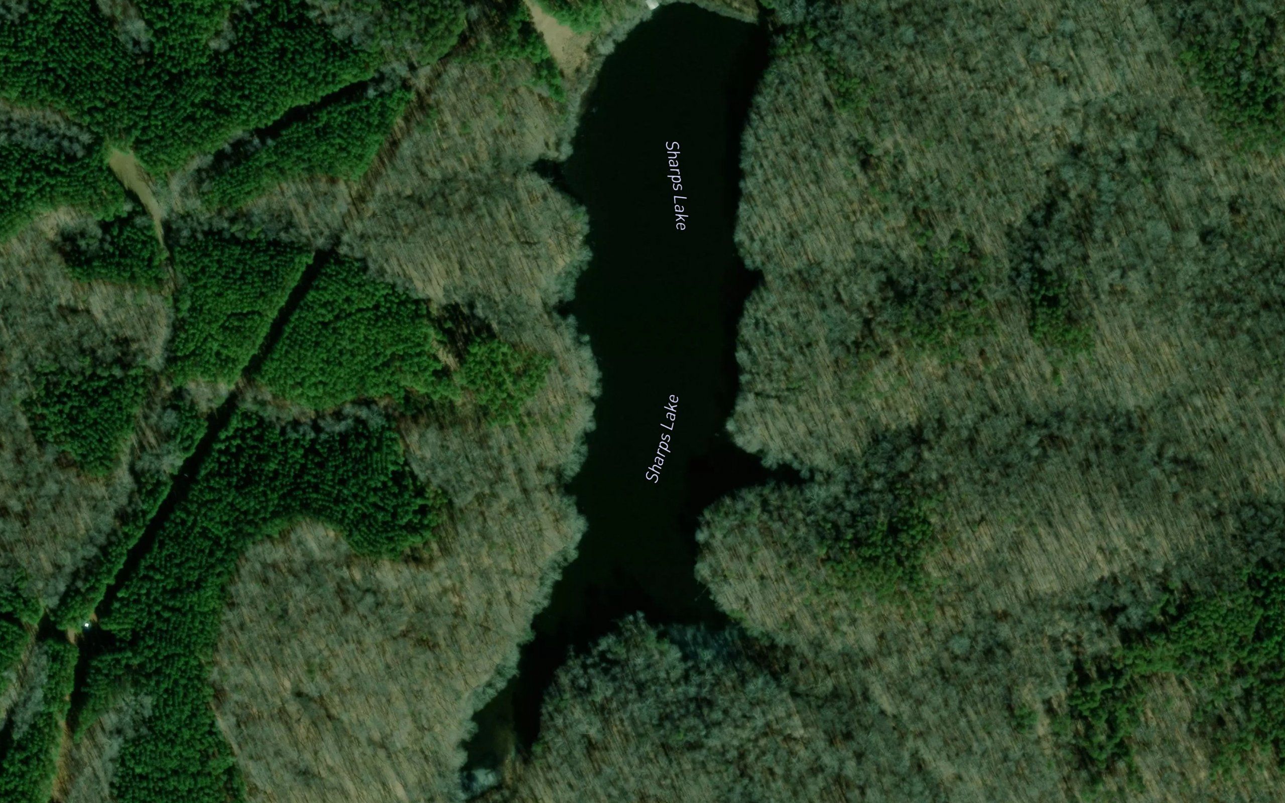 Sharps Lake