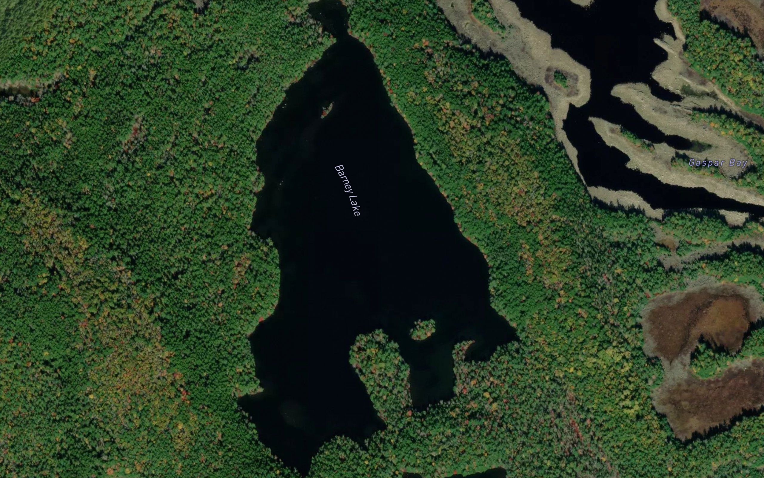 Barney Lake