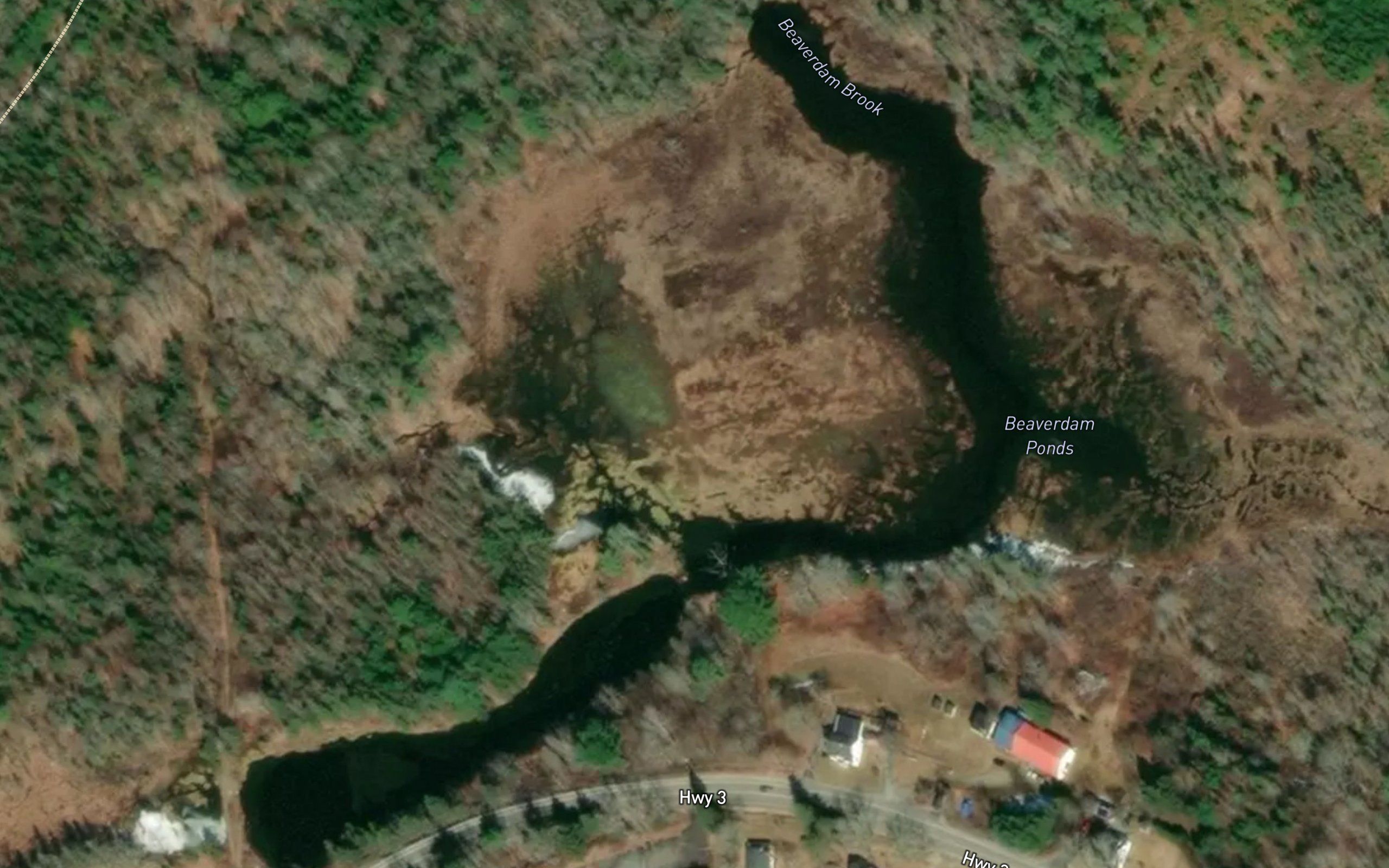 Beaverdam Ponds
