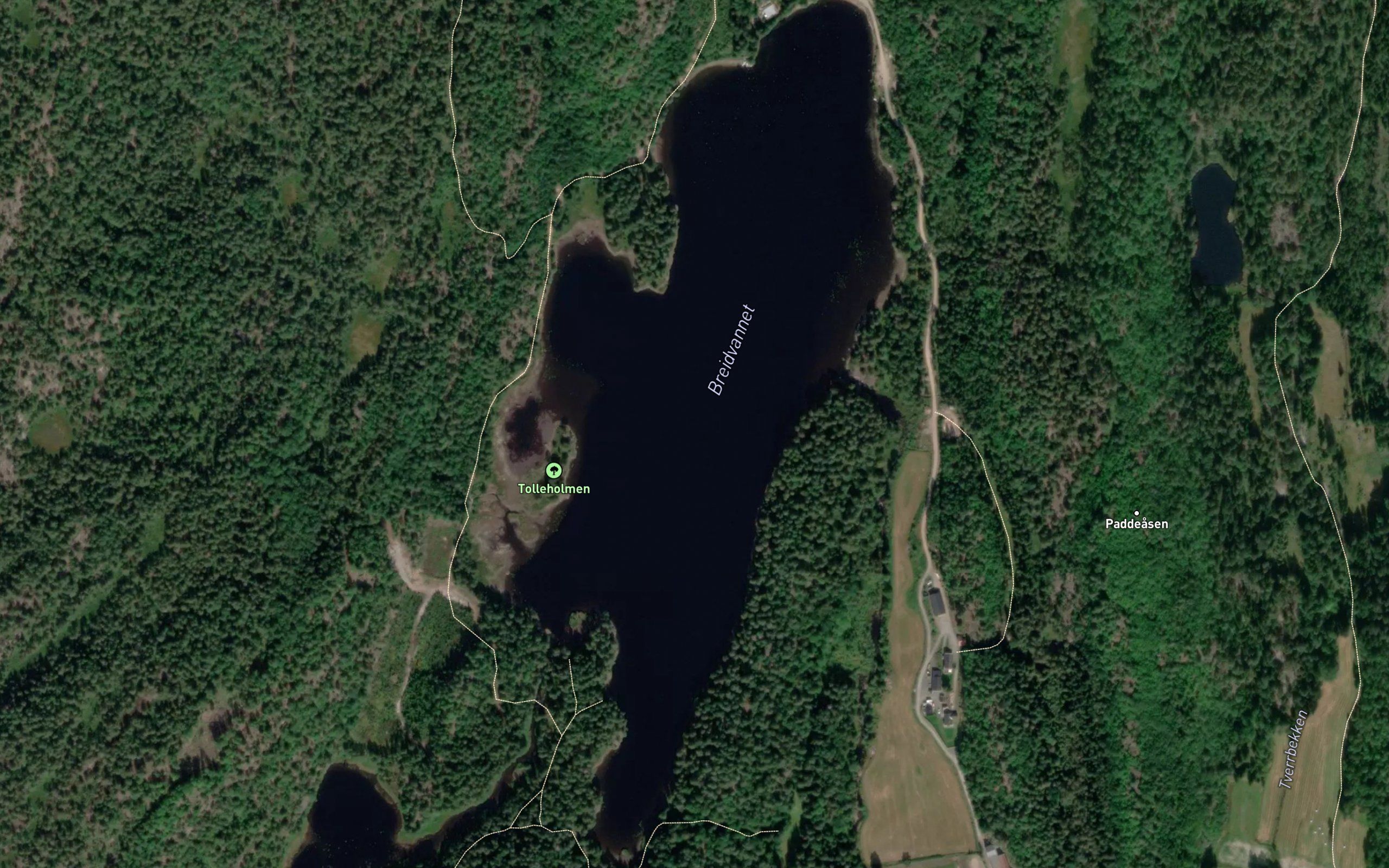 Breidvannet