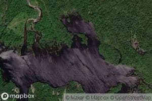 Muddy Brook