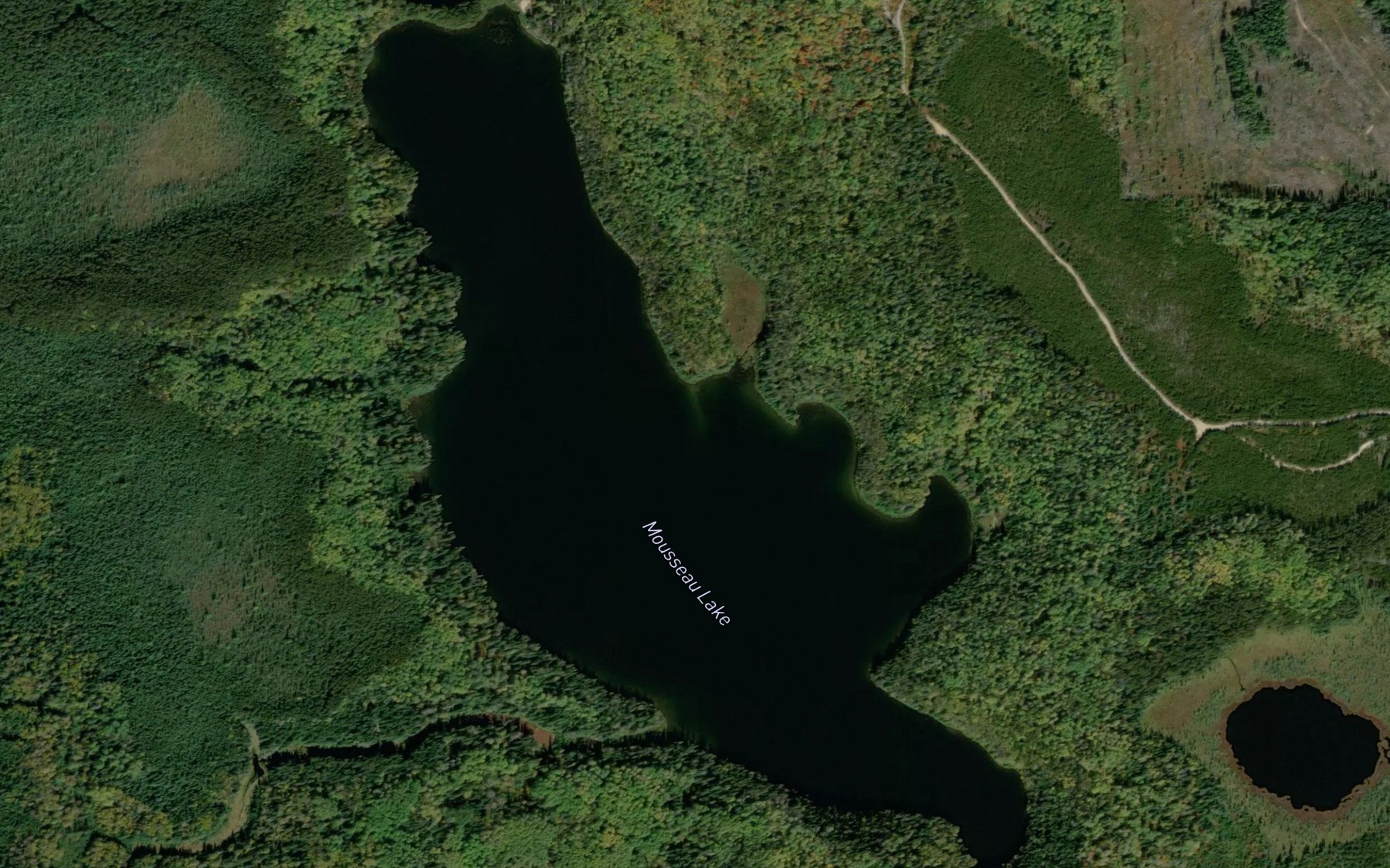 Satellite map of the Mousseau Lake