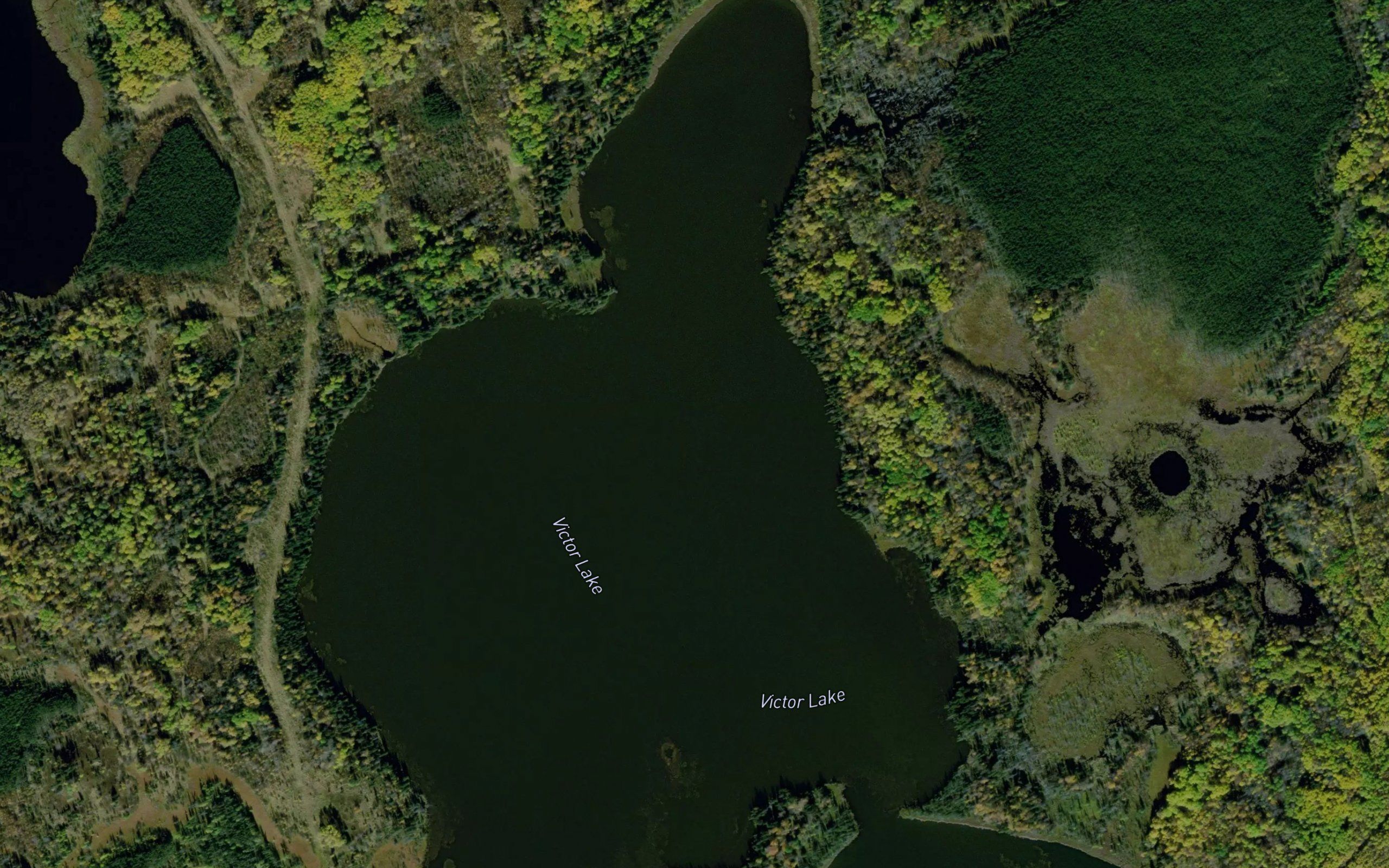 Victor Lake