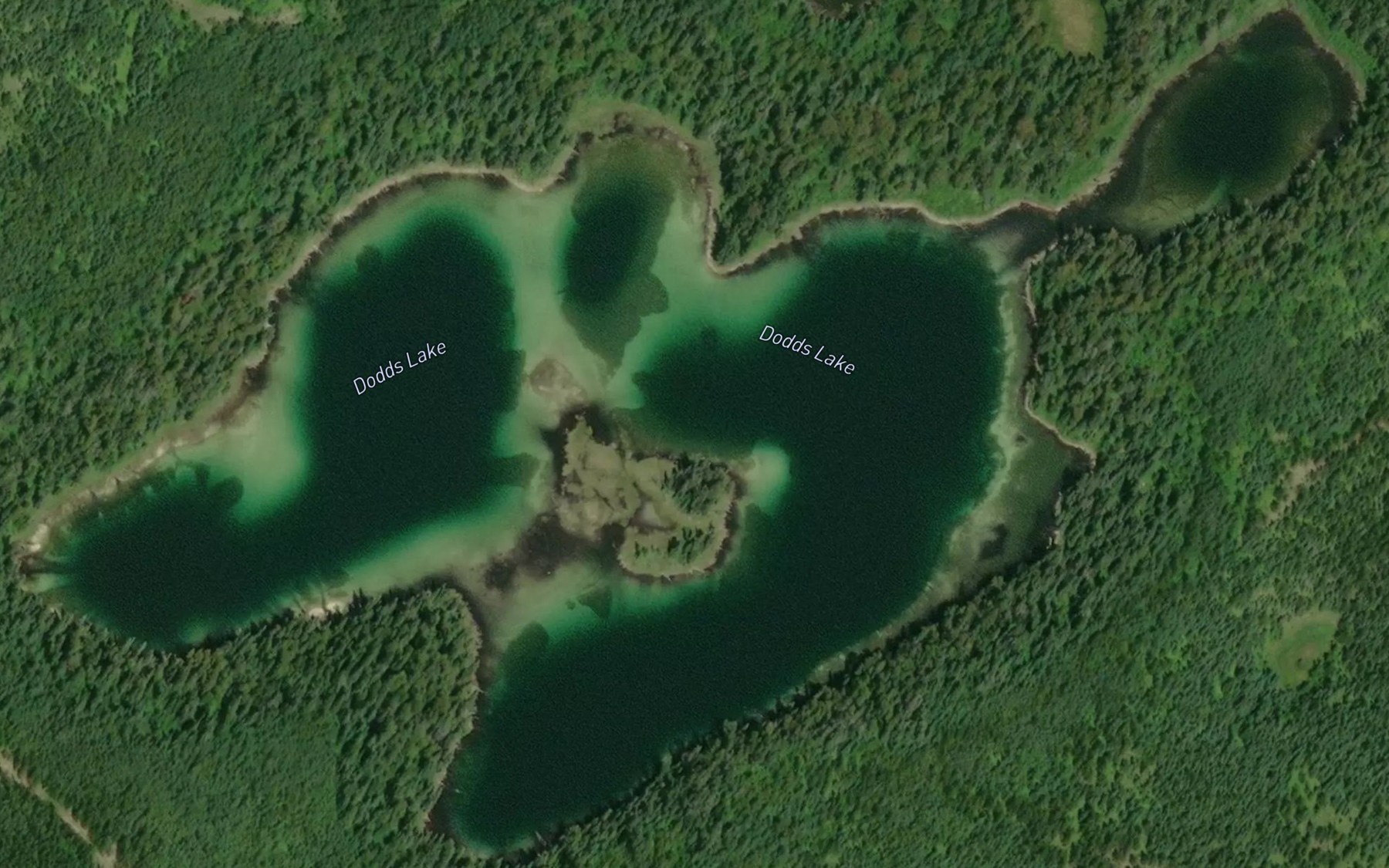Satellite map of the Dodds Lake
