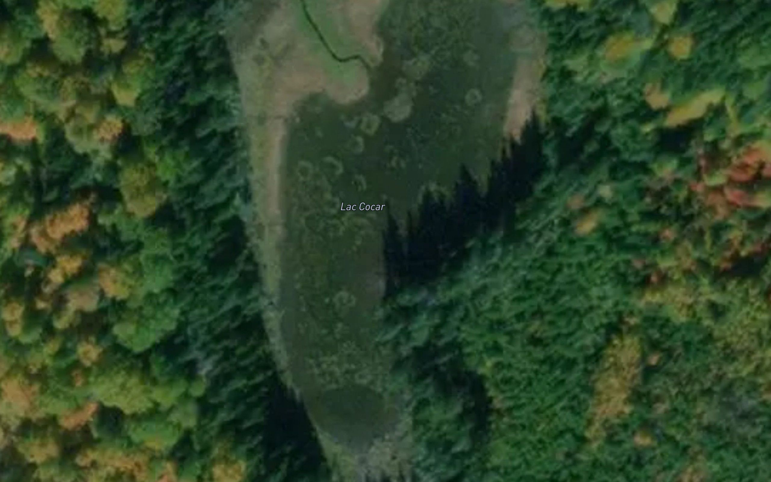 Lac Cocar
