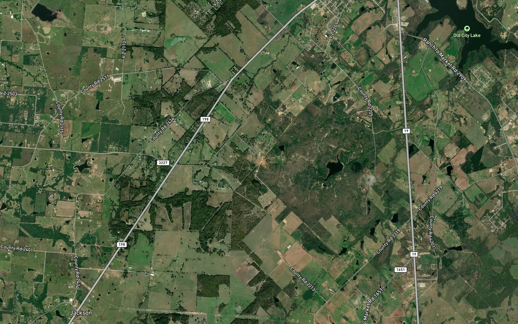 Satellite map of the Riley Spring