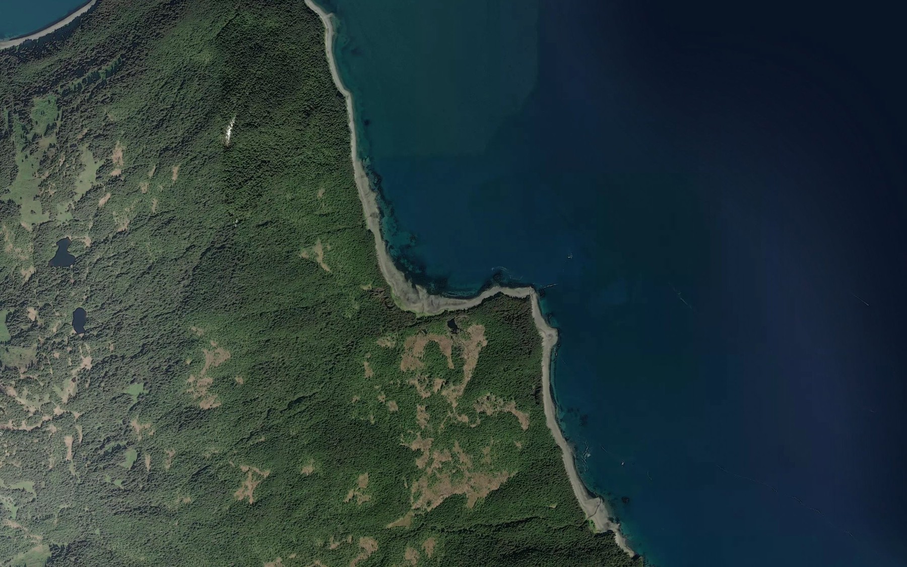 Satellite map of the Pinta Cove
