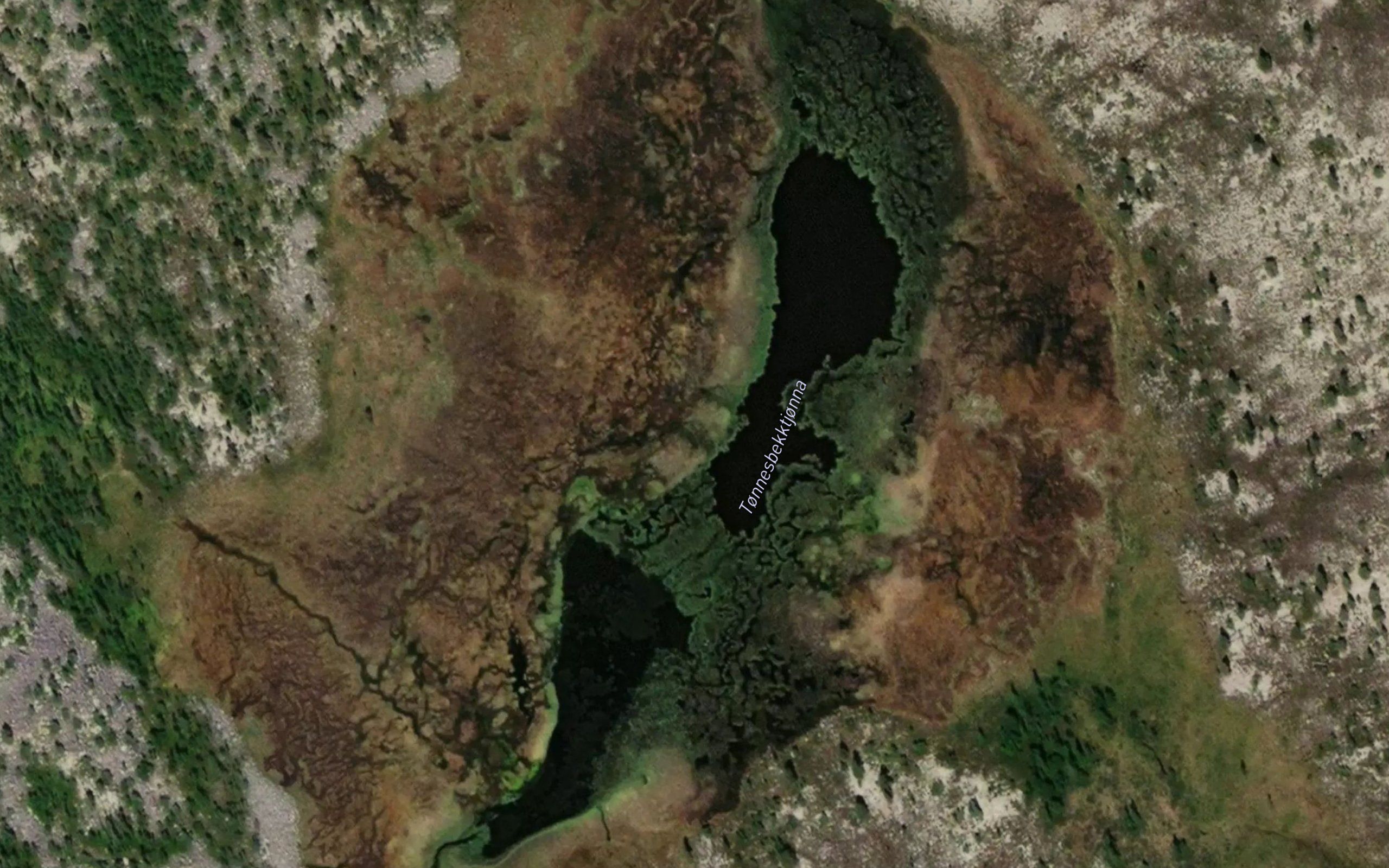 Tonnesbekktjorna