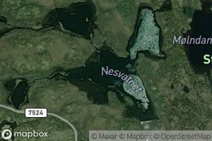 Nesvatnan