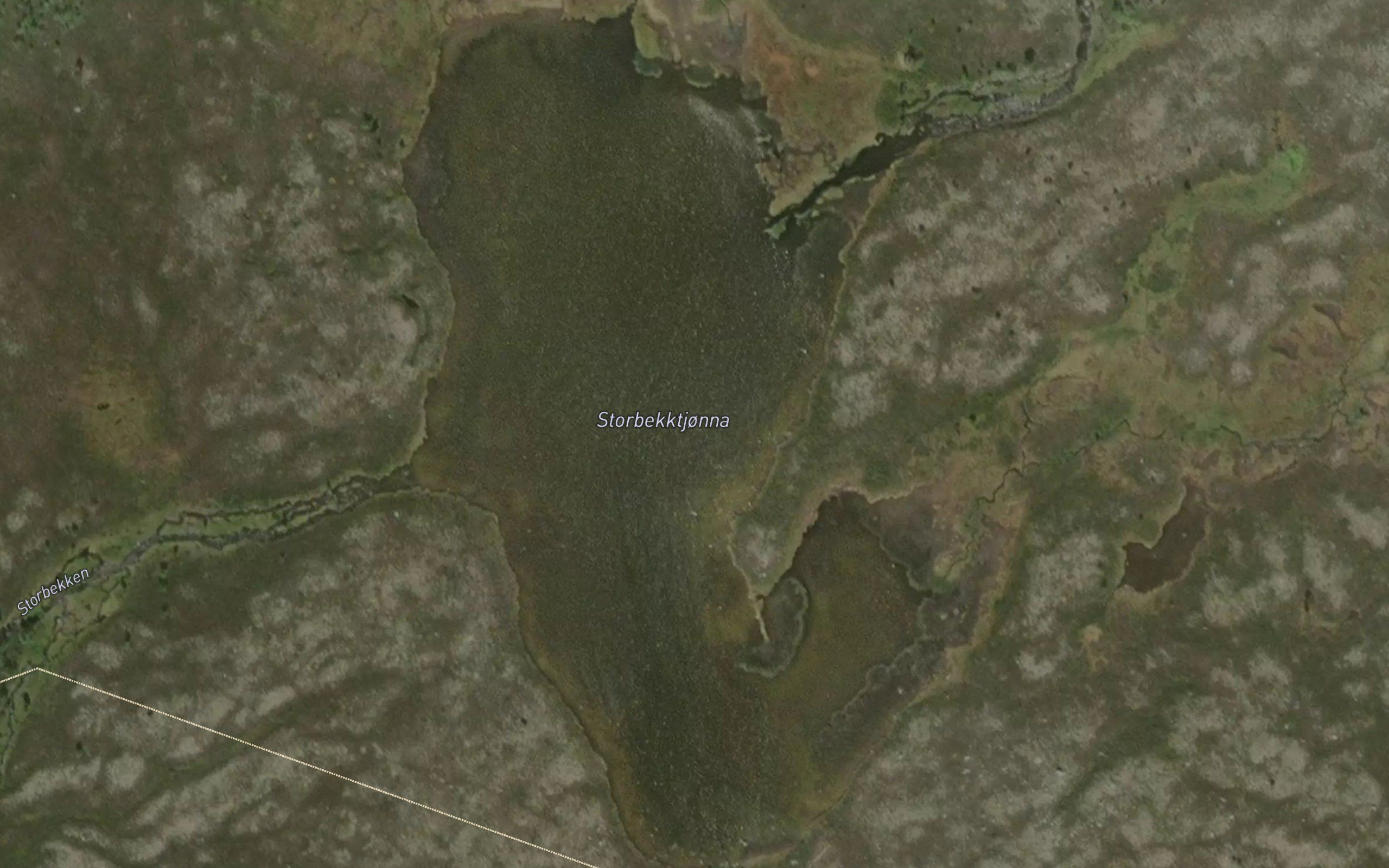 Storbekktjonna