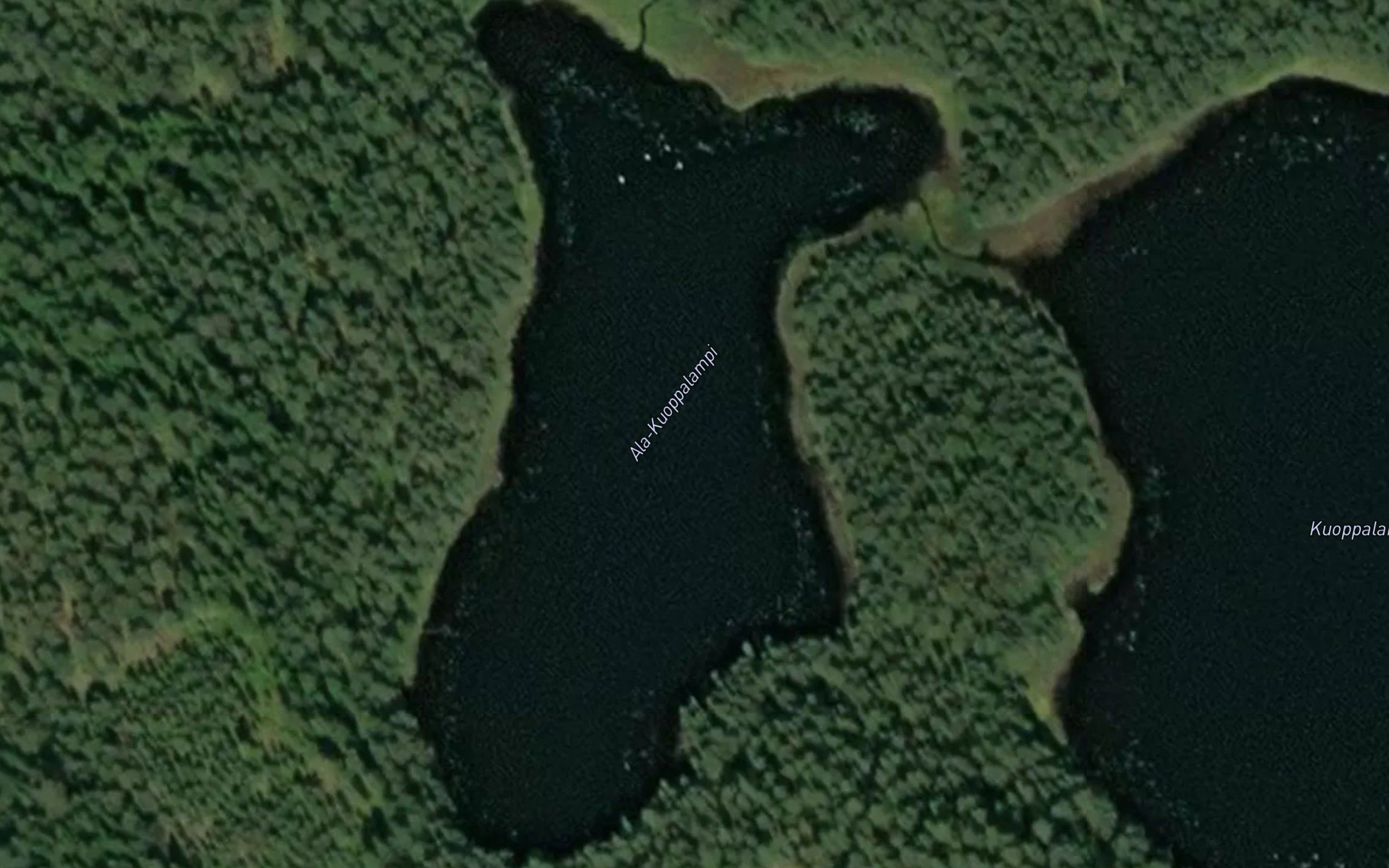 Ala-Kuoppalampi
